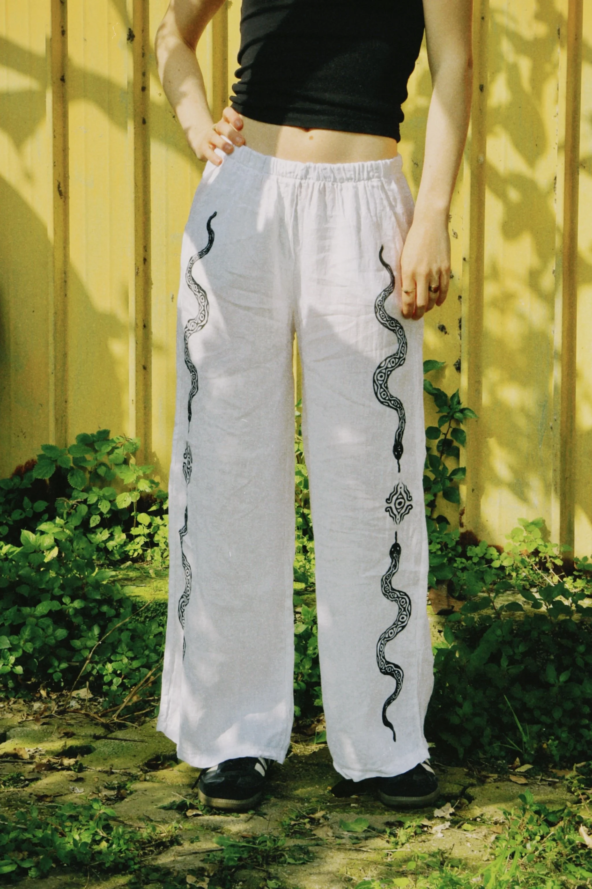 dclassic 2026-03-03 144749BD250333CE66.JPG