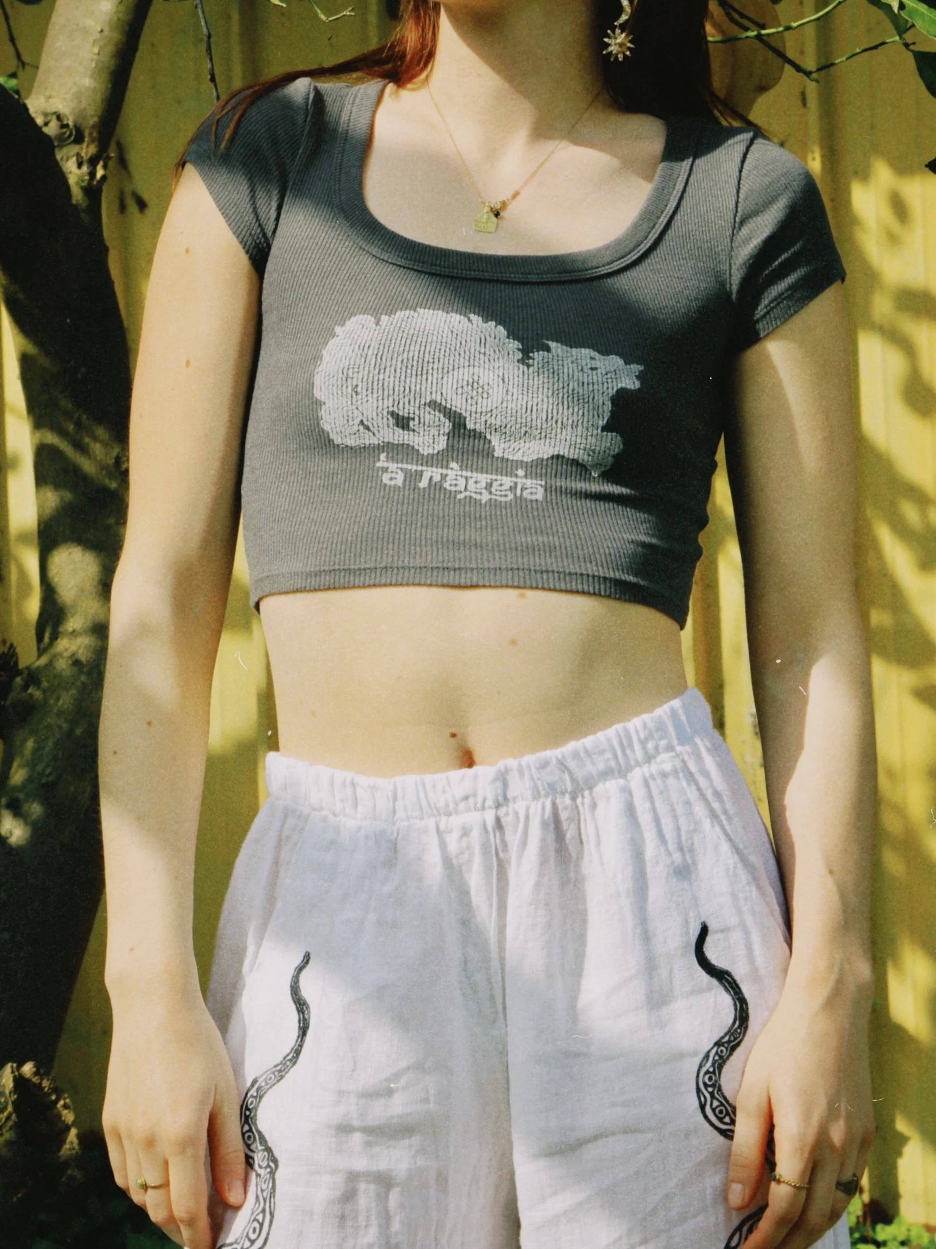 dclassic 2026-03-03 150245DA3536C51DE9.JPG