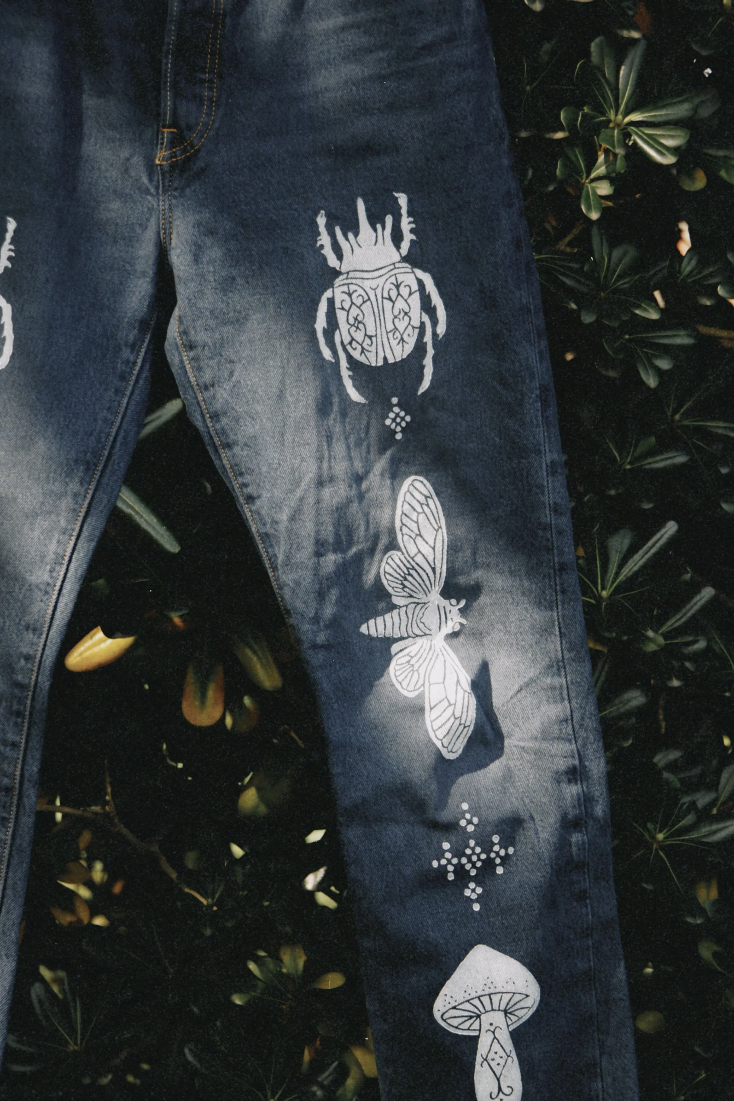 dclassic 2026-03-03 1513509FD40C351EC4.jpg