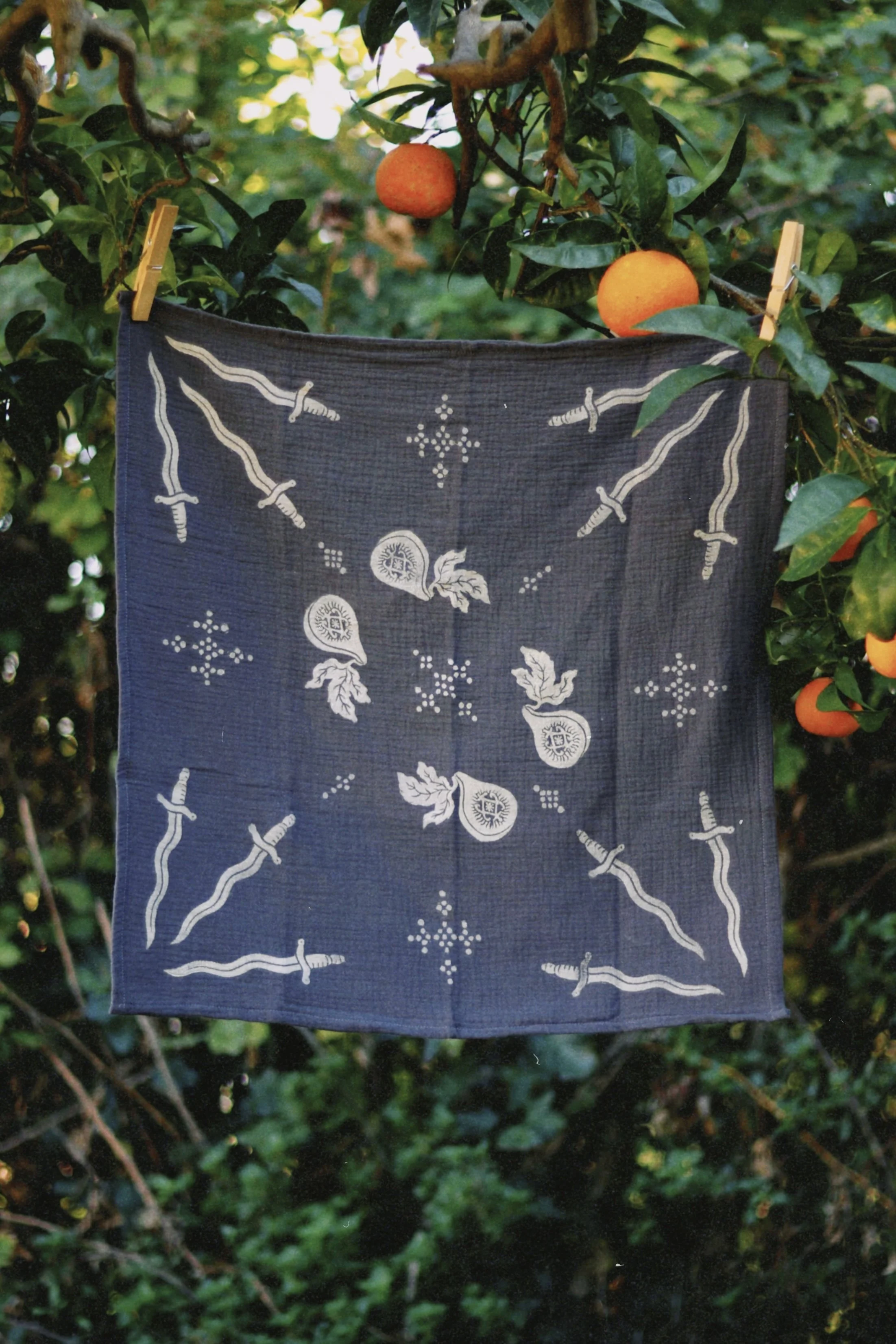 dclassic 2025-11-13 123343.832.jpg