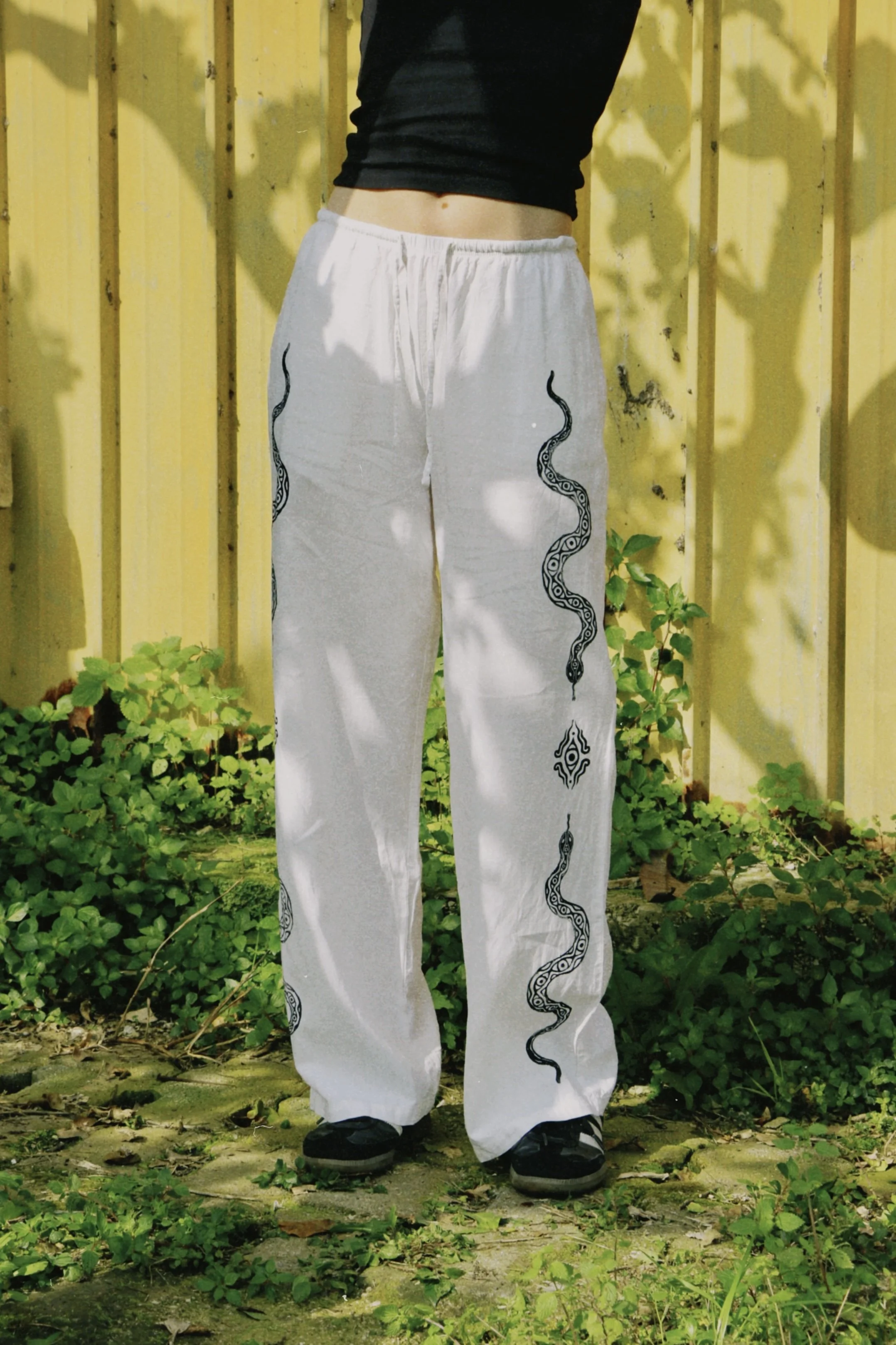 dclassic 2026-03-03 142459860B0AD331C2.jpg