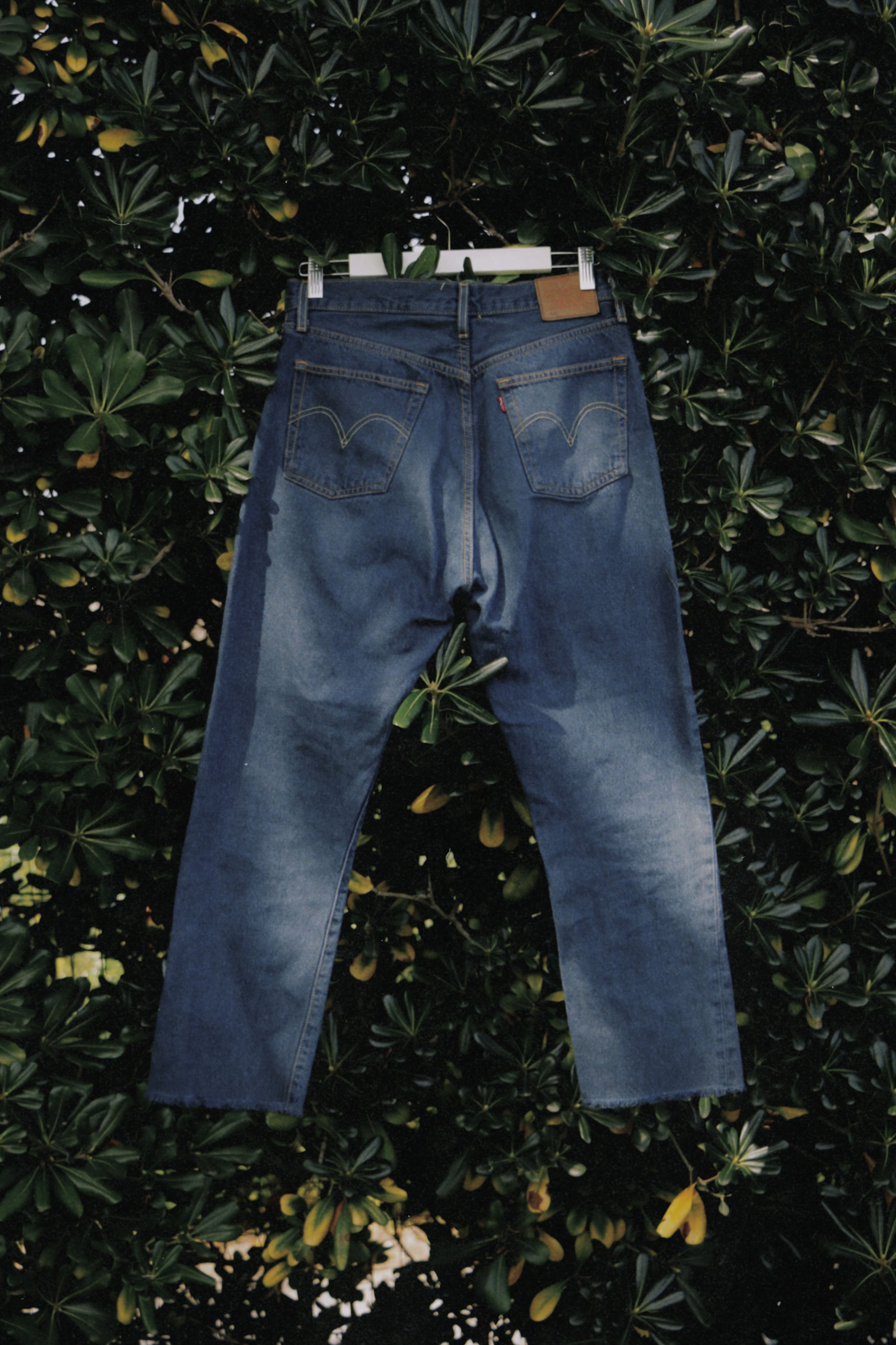 dclassic 2026-03-03 15134804090709E960.jpg