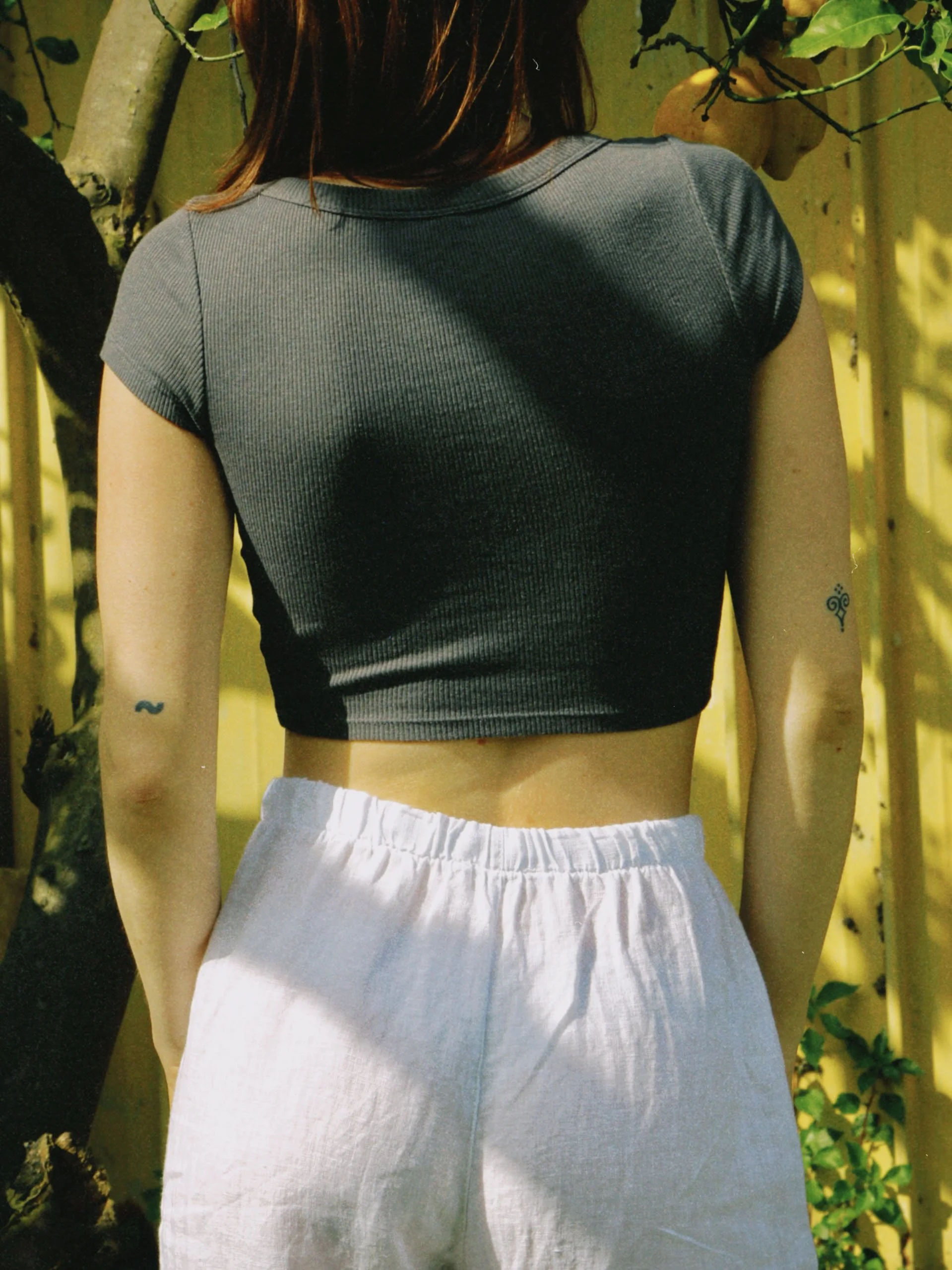 dclassic 2026-03-03 150245916C886639A3.JPG