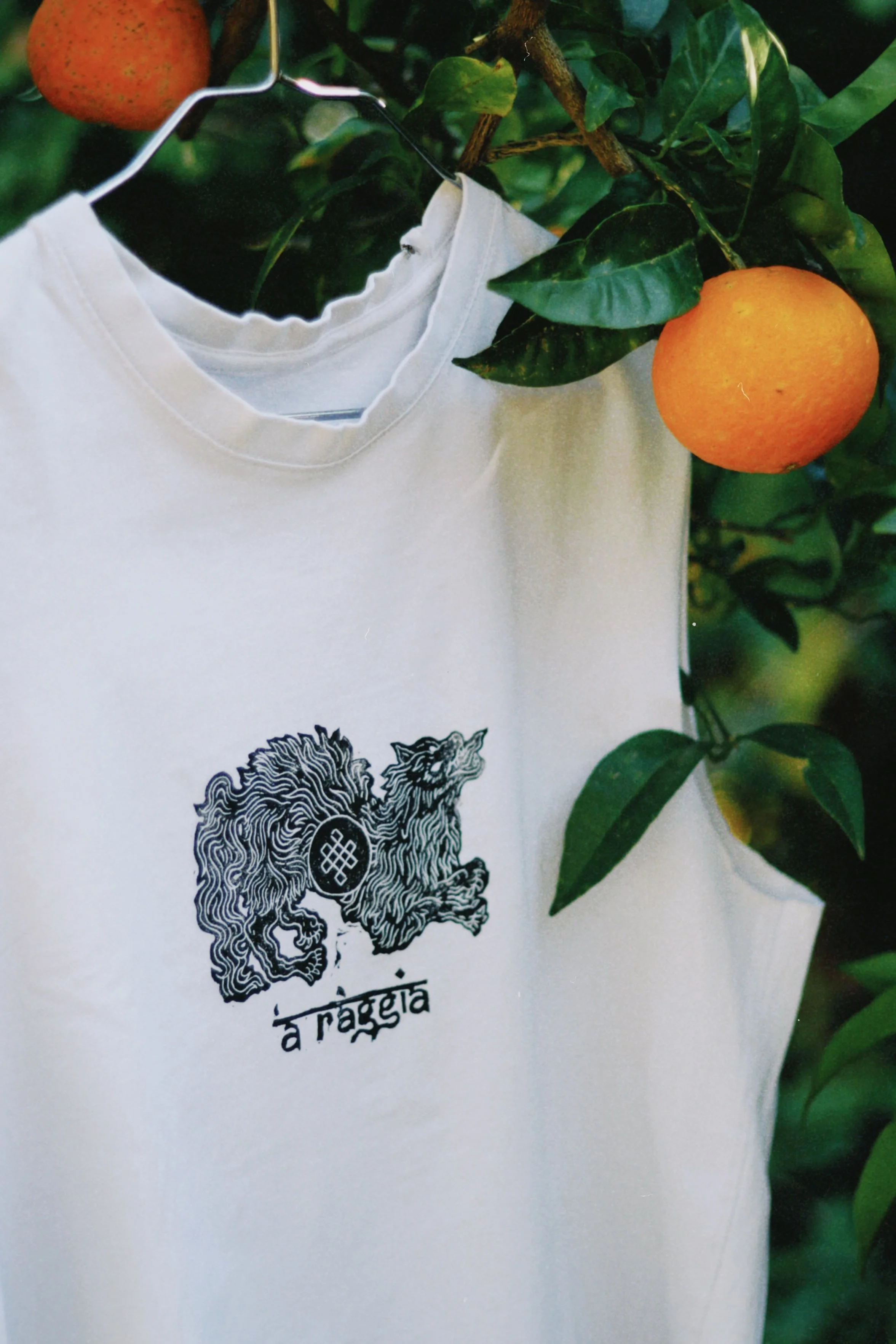 dclassic 2025-11-13 123322.703.jpg