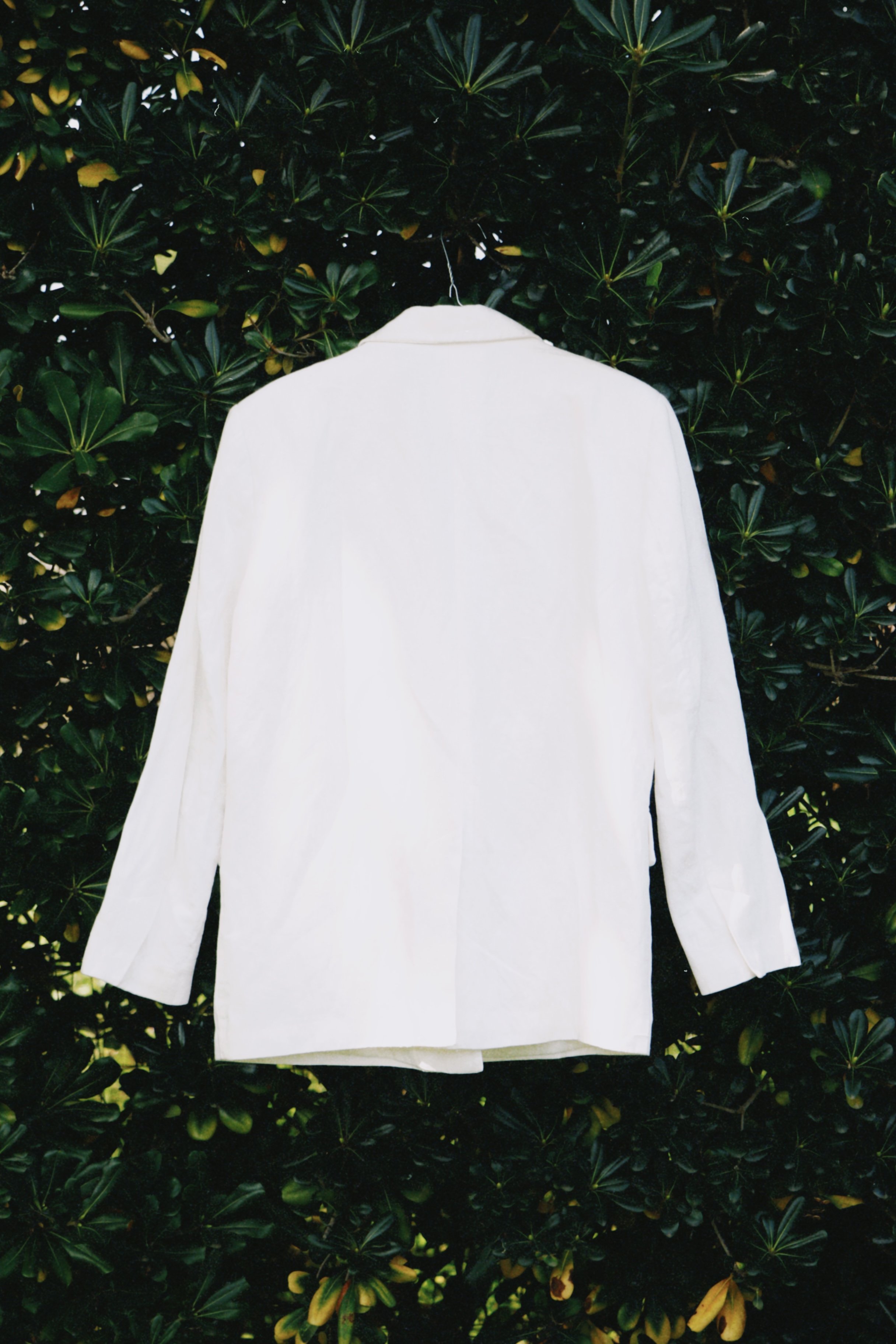 dclassic 2026-03-03 151347AE191AE3399F.JPG