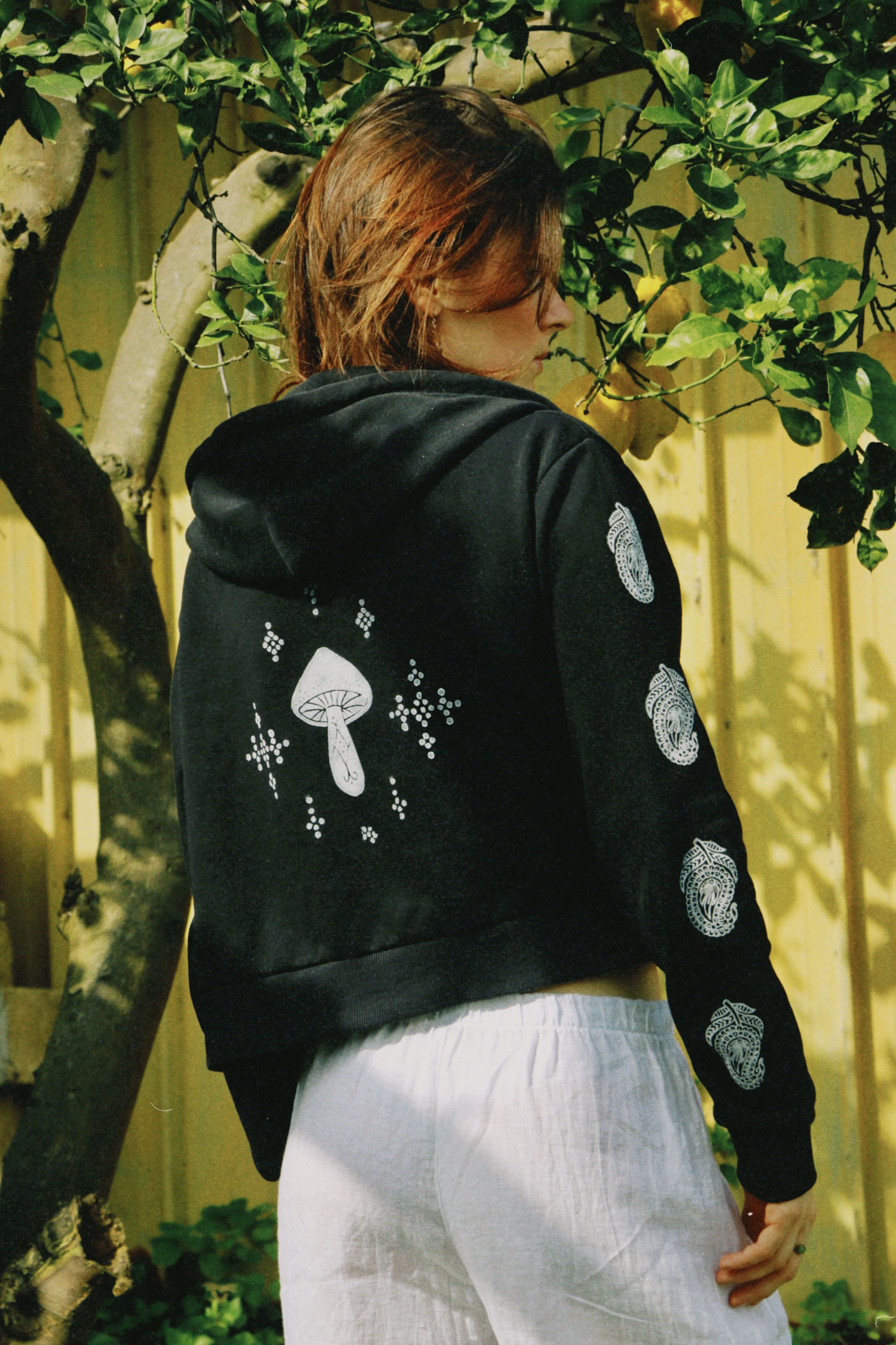 dclassic 2026-03-03 1451219C66E67FE5EB.JPG