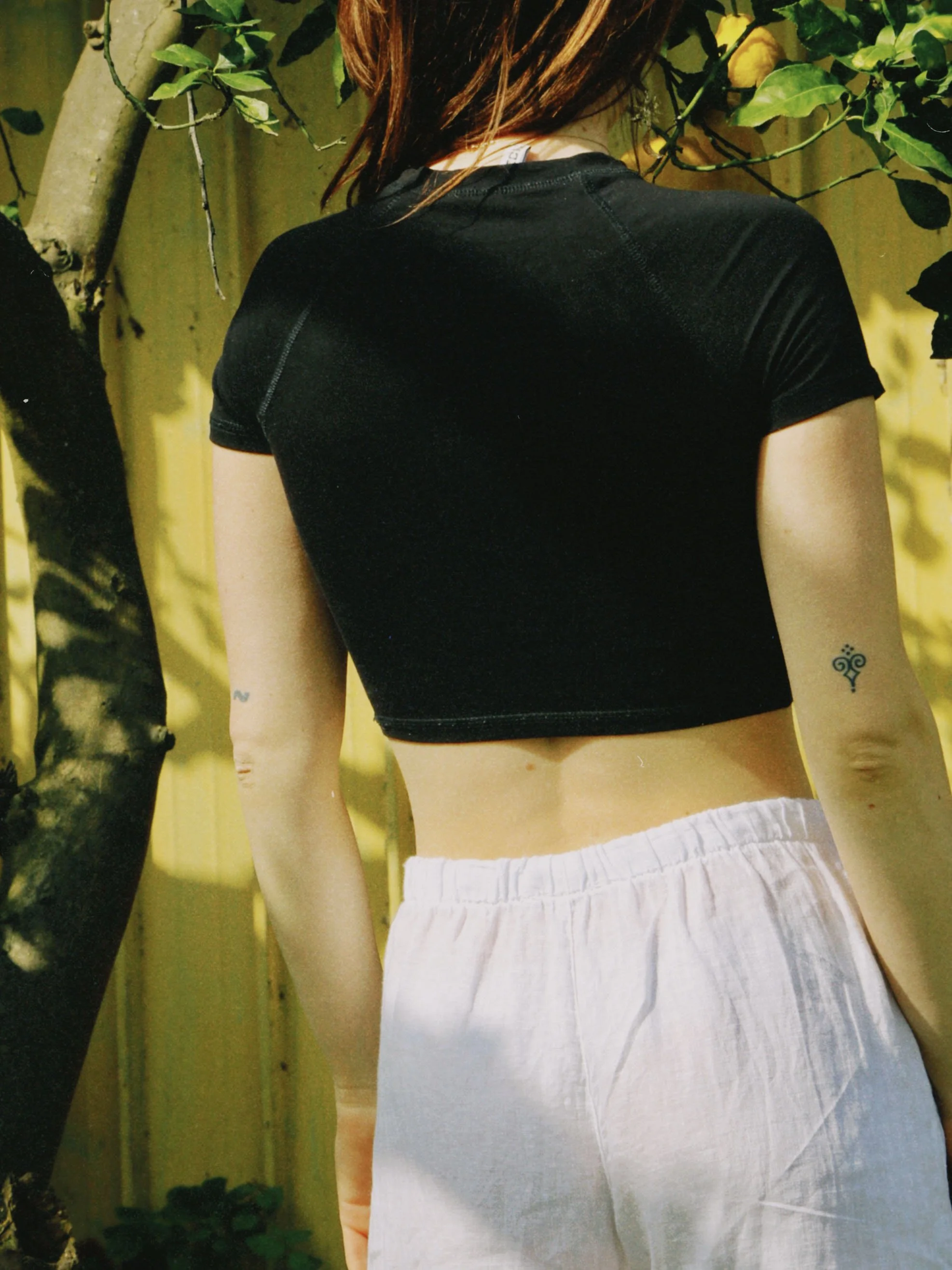 dclassic 2026-03-03 150726E9EE59F84E3F.JPG