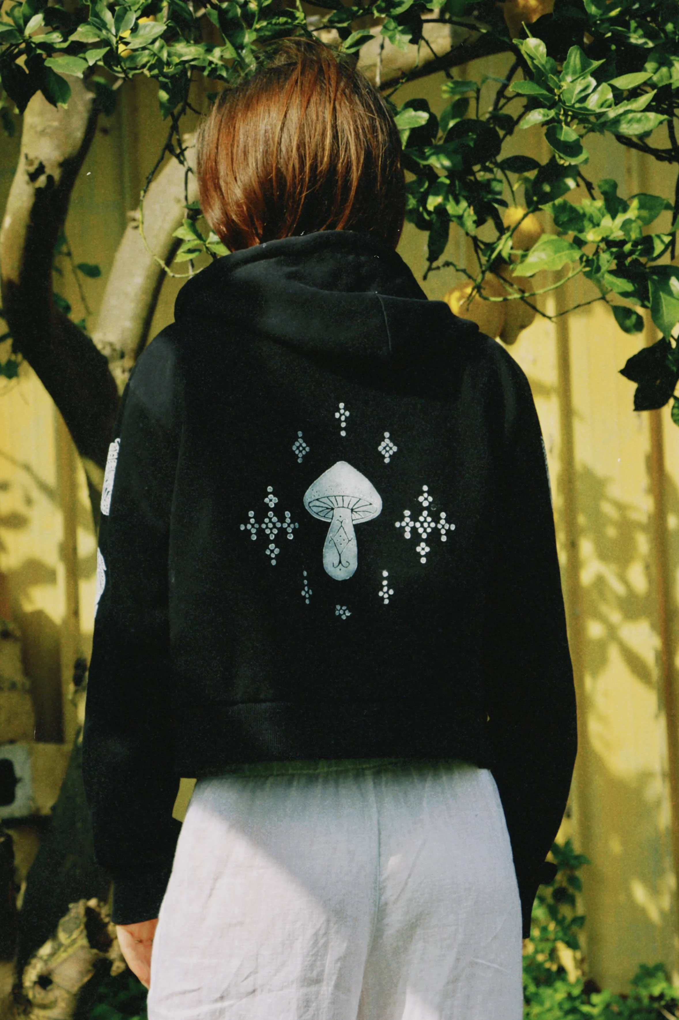 dclassic 2026-03-03 145120B9546AA48FD5.JPG