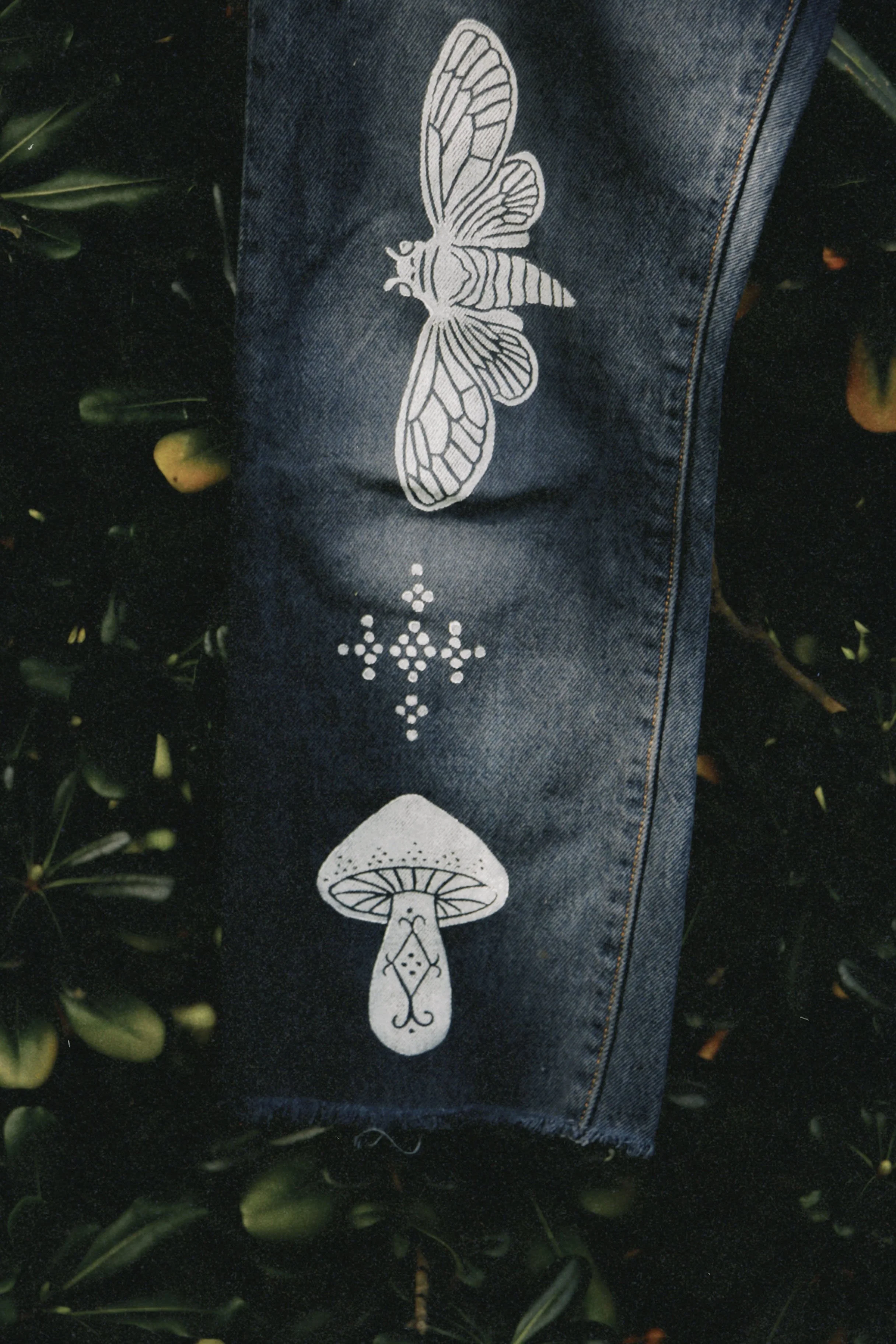 dclassic 2026-03-03 15134822DB649FDC53.jpg