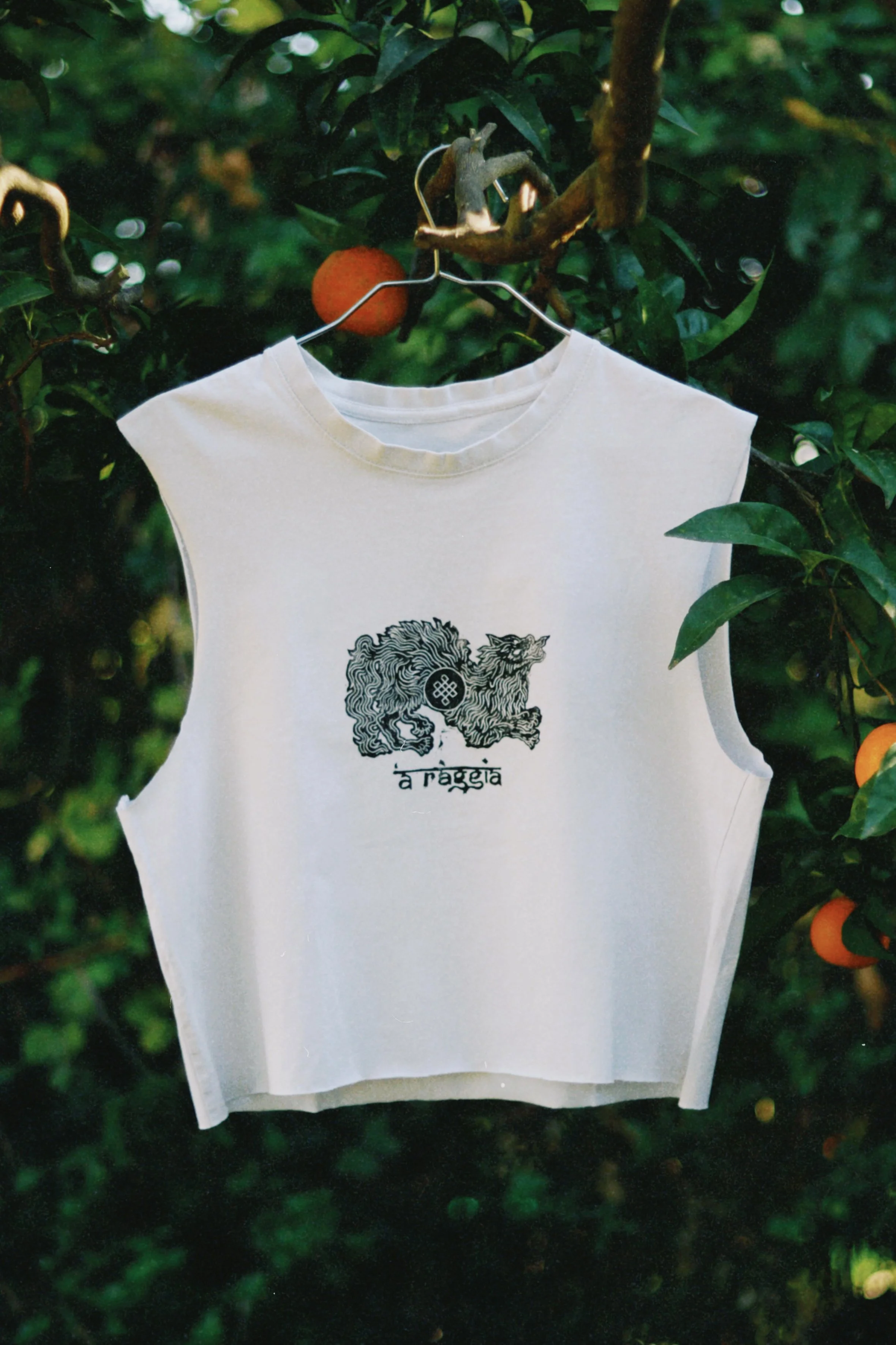 dclassic 2025-11-13 123346.824.jpg