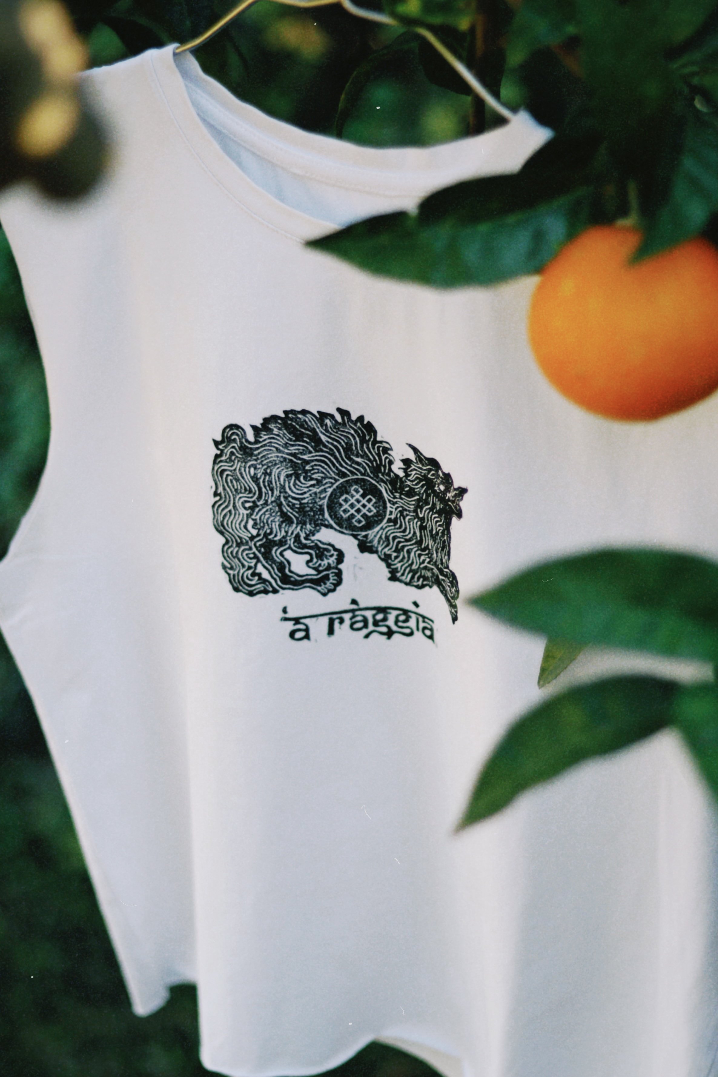 dclassic 2025-11-13 123326.117.jpg