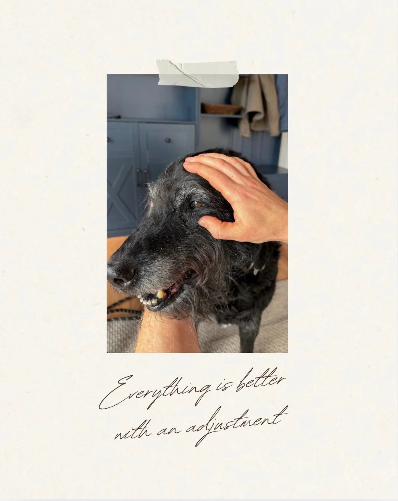 Wishing everyone a happy Monday ✨🐾