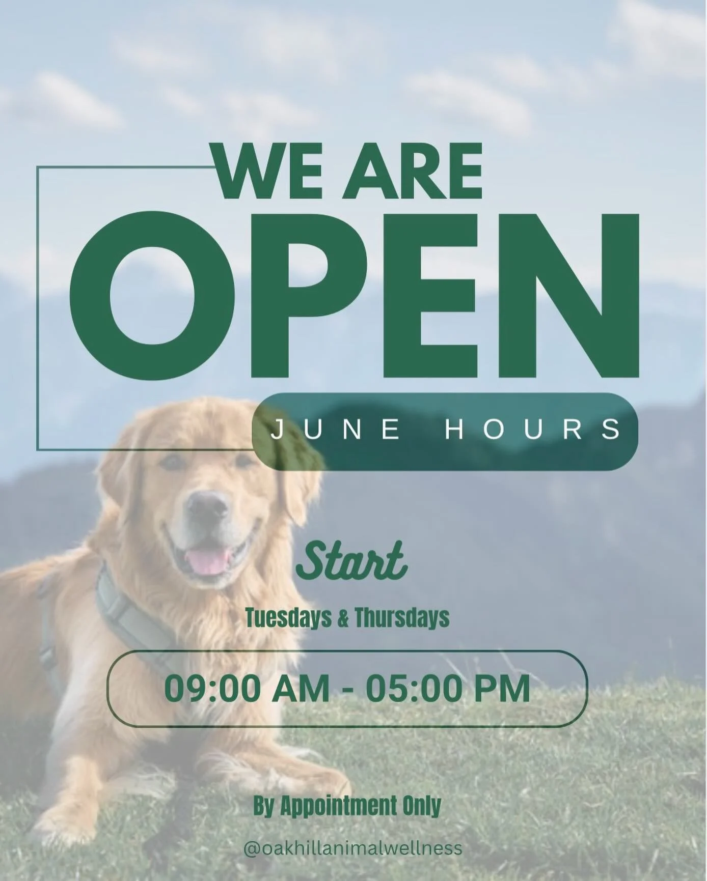 New Summer Hours ✨

Starting in June we will be staying open a little later on Tuesdays &amp; Thursdays! 

Call/Text us if you don&rsquo;t see an appointment time that works for you. Don&rsquo;t forget- we see clients at our clinic AND have the abili