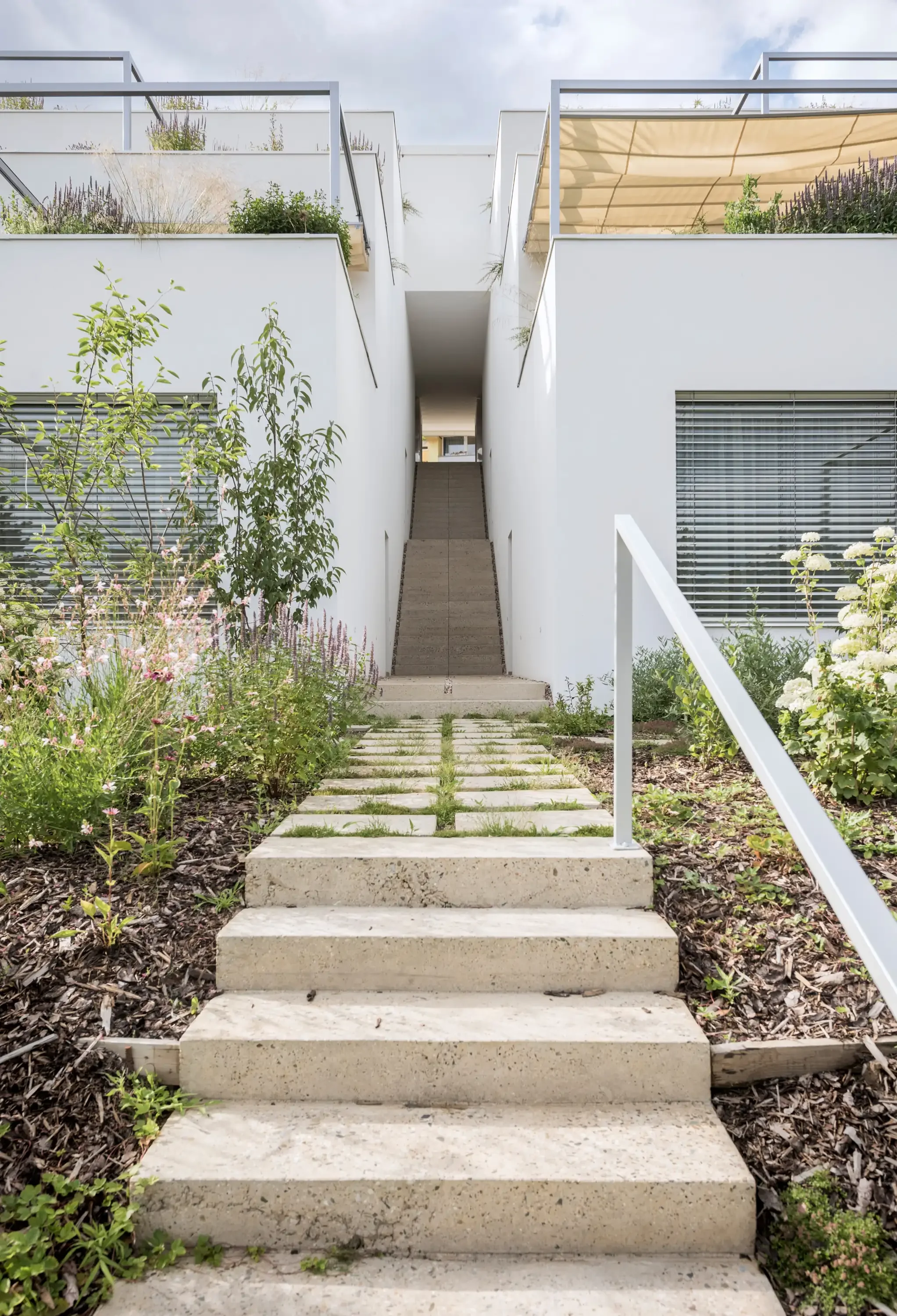 martin-cenek-architecture-krc-terraced-twins-martin-cenek-07.webp