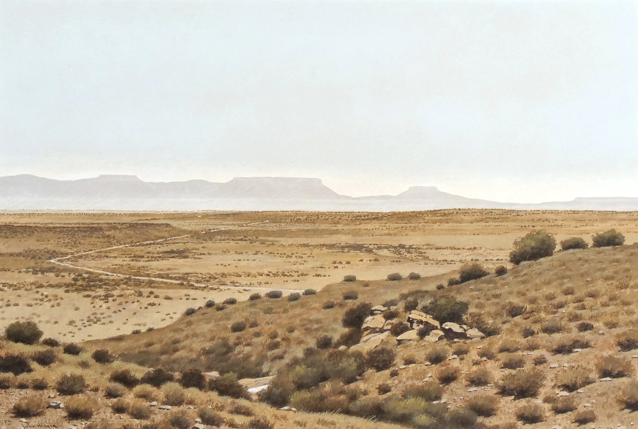 JOHN MEYER (South African, b. 1942) 