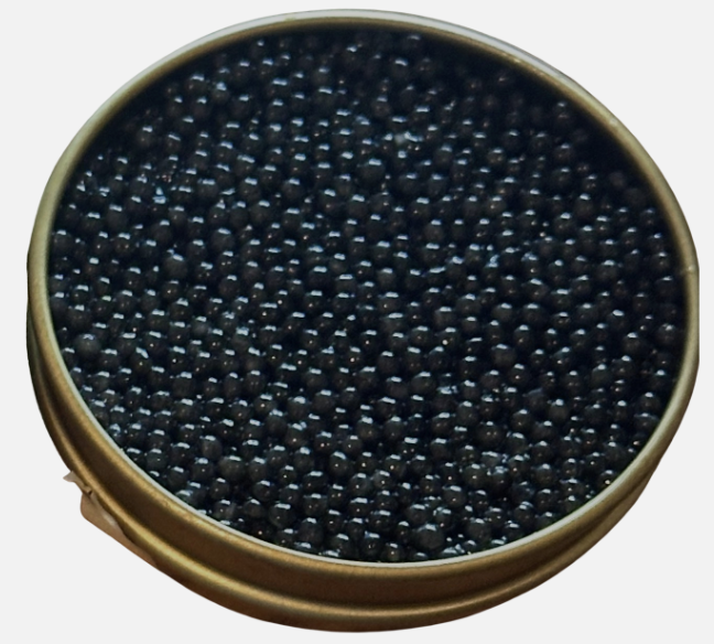 Screenshot 2026-03-04 at 14.08.53.png