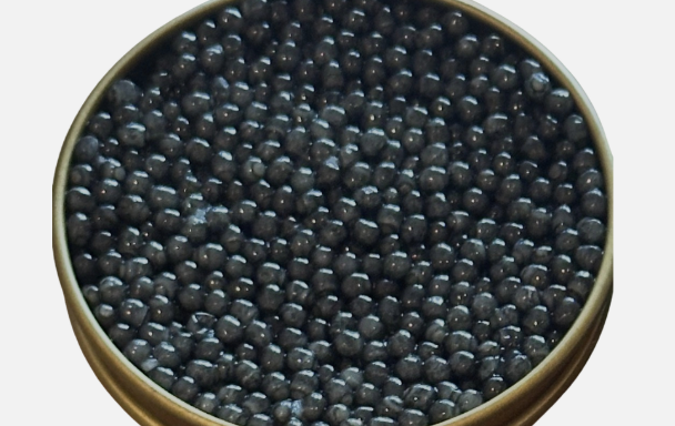 Beluga — Huso huso