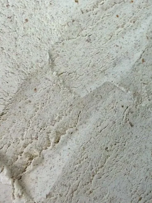 Whole Wheat All-Purpose Flour