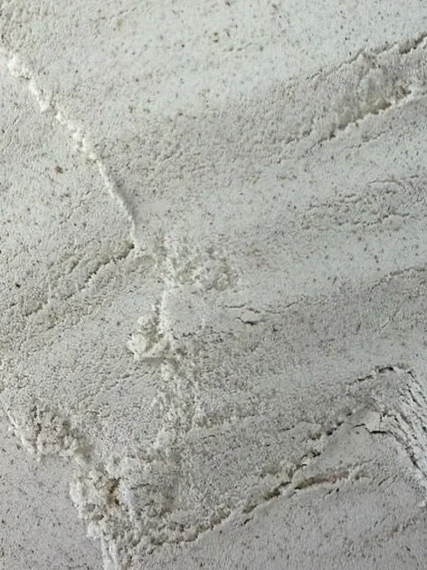 Bread+Flour+Texture.jpg
