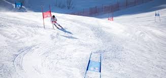 A modern wooden house in a field with tall grass, overlooking a calm lake and distant mountains under a cloudy sky.