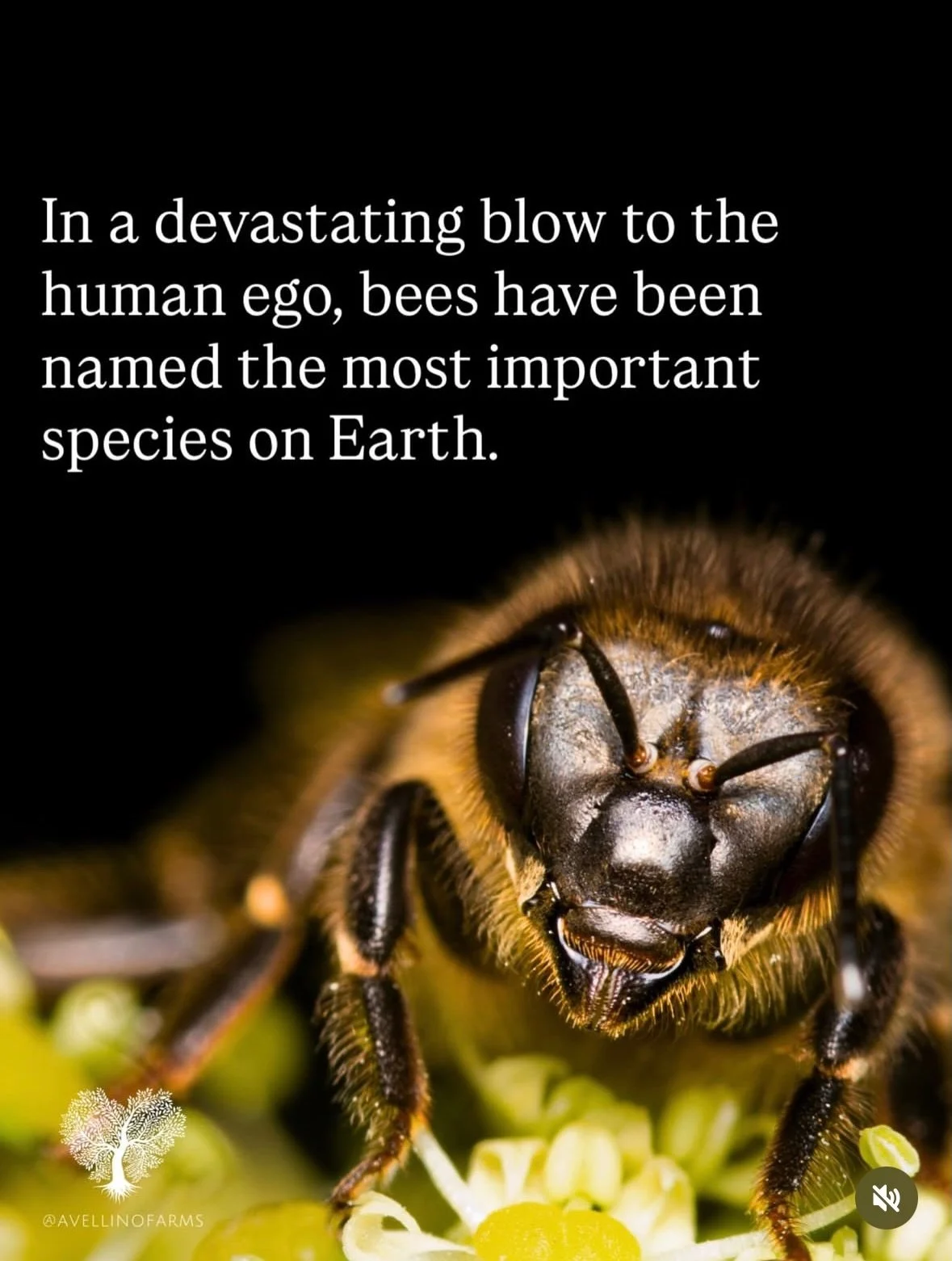 It was me I had the shirt