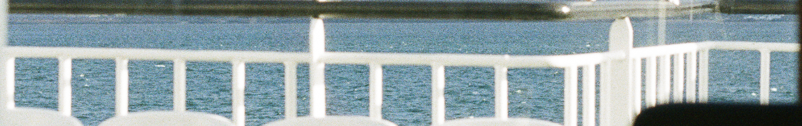 View of water with a white railing in the foreground and a wooden dock or pier extending into the water in the background.