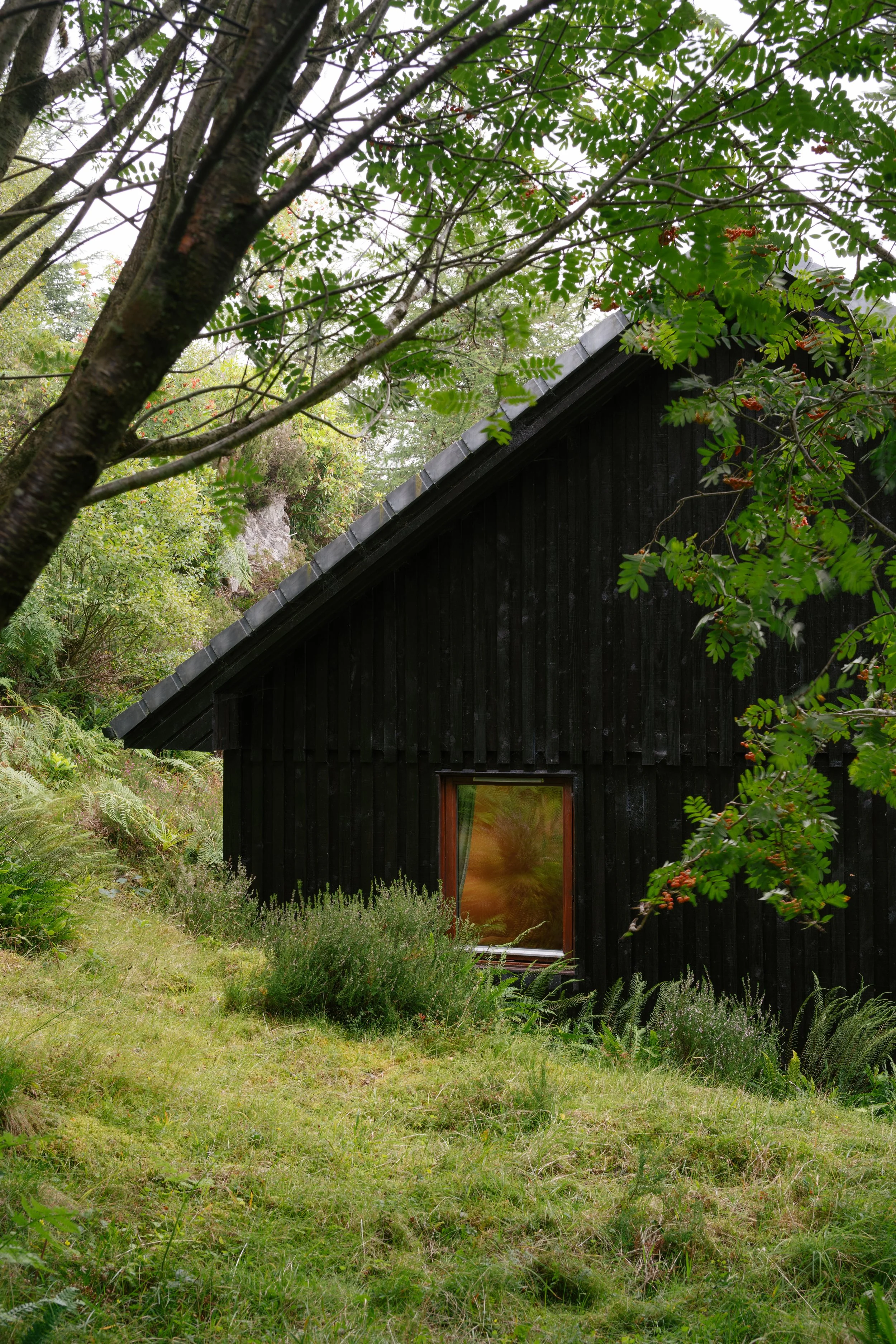 A black wooden house with a sloped roof, surrounded by lush green foliage and plants, including a tree with green leaves in the foreground.