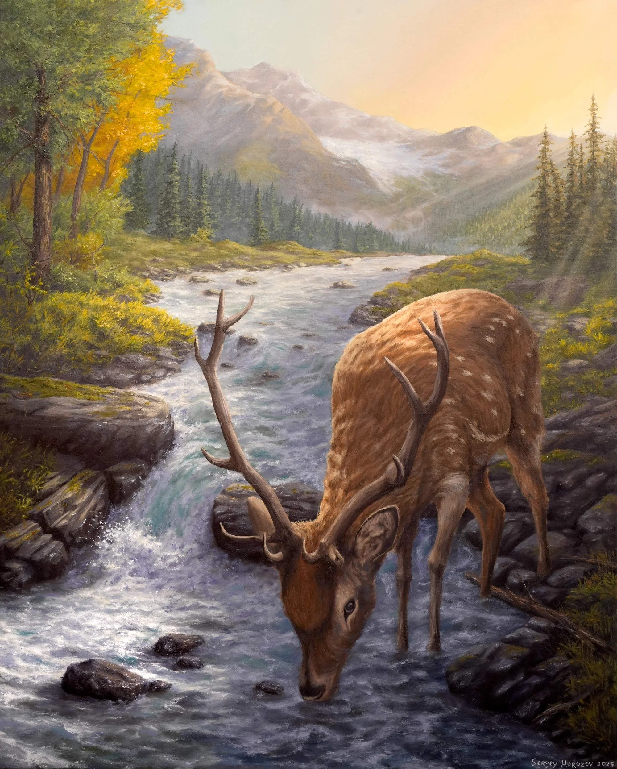Drinking Deer - 50x70 cm (19.6 × 27.5 inch)