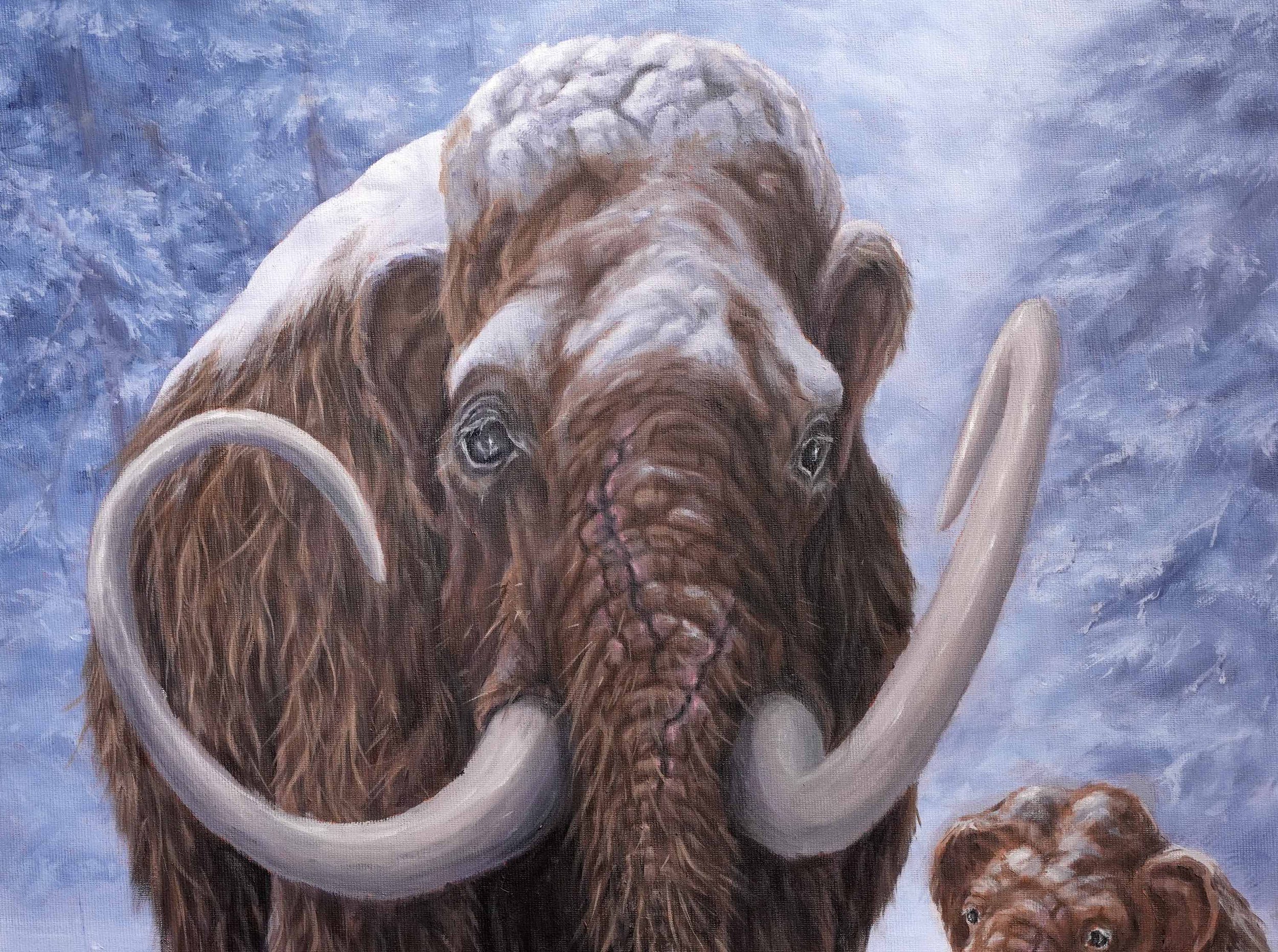 mammoth-3.jpg