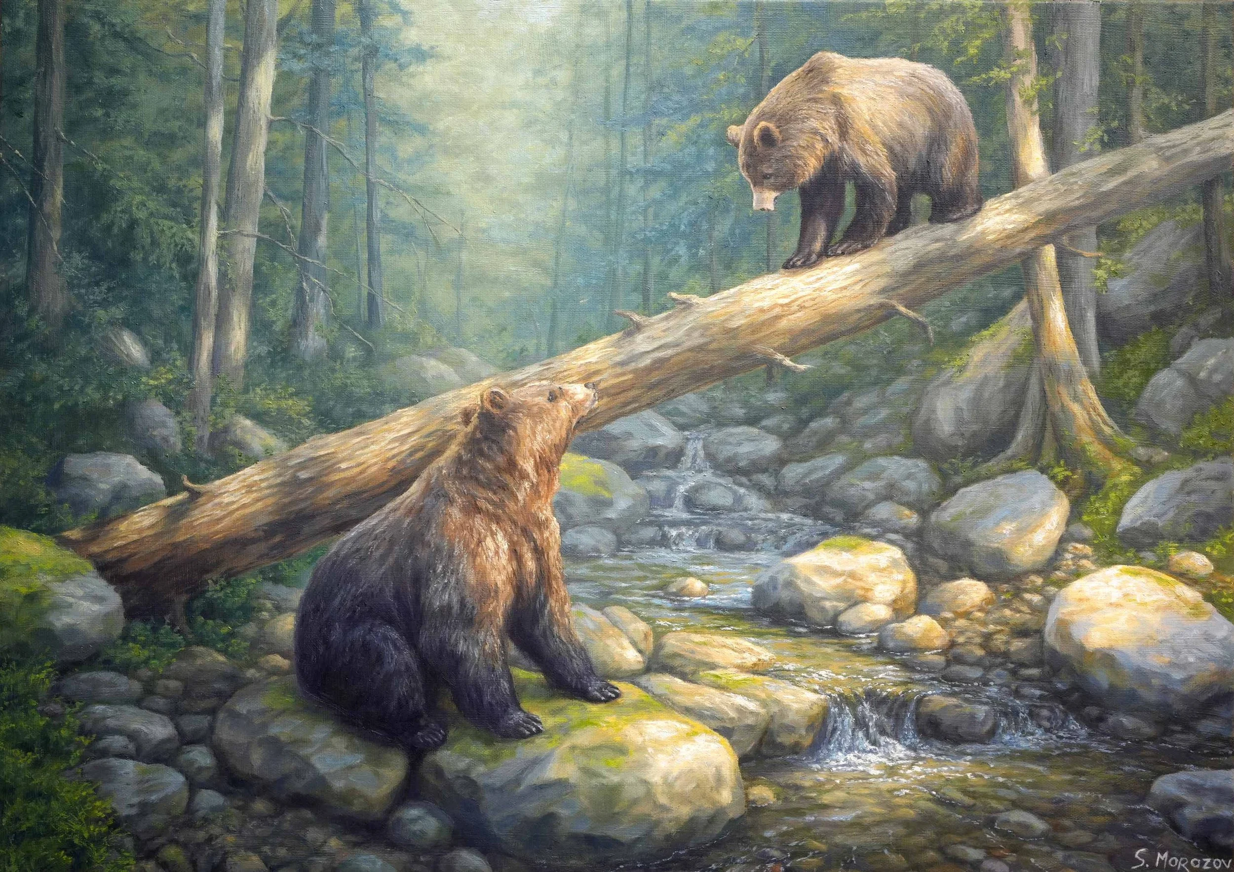 Forest Encounter - 70x50 cm (27.5 × 19.6 inch)
