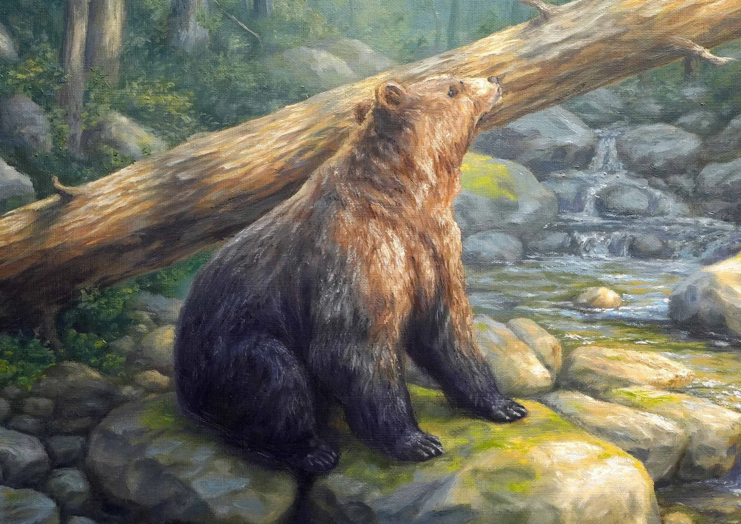 bear-1.jpg