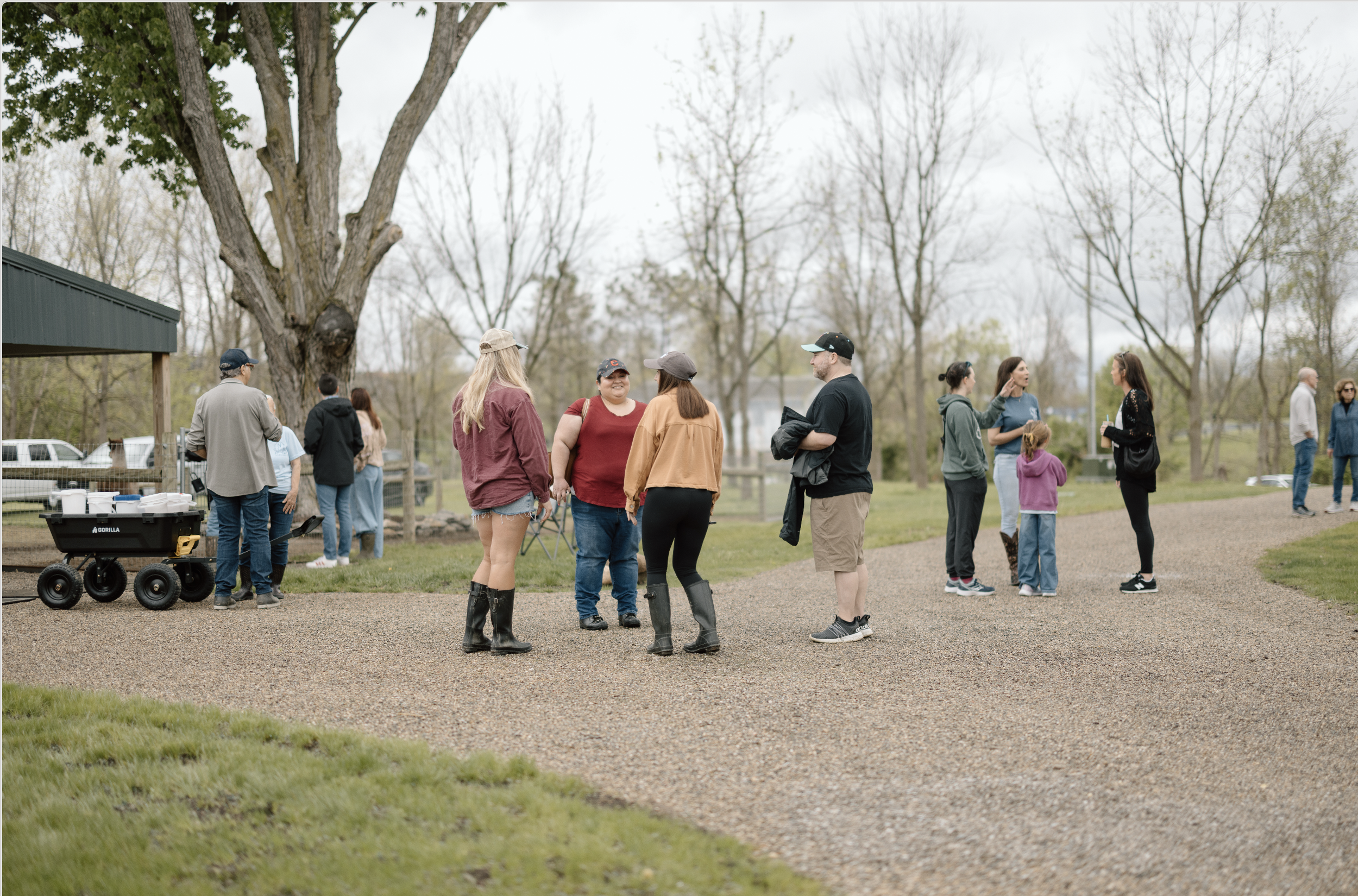 Plan Your Visit to Nature's Curve Farm