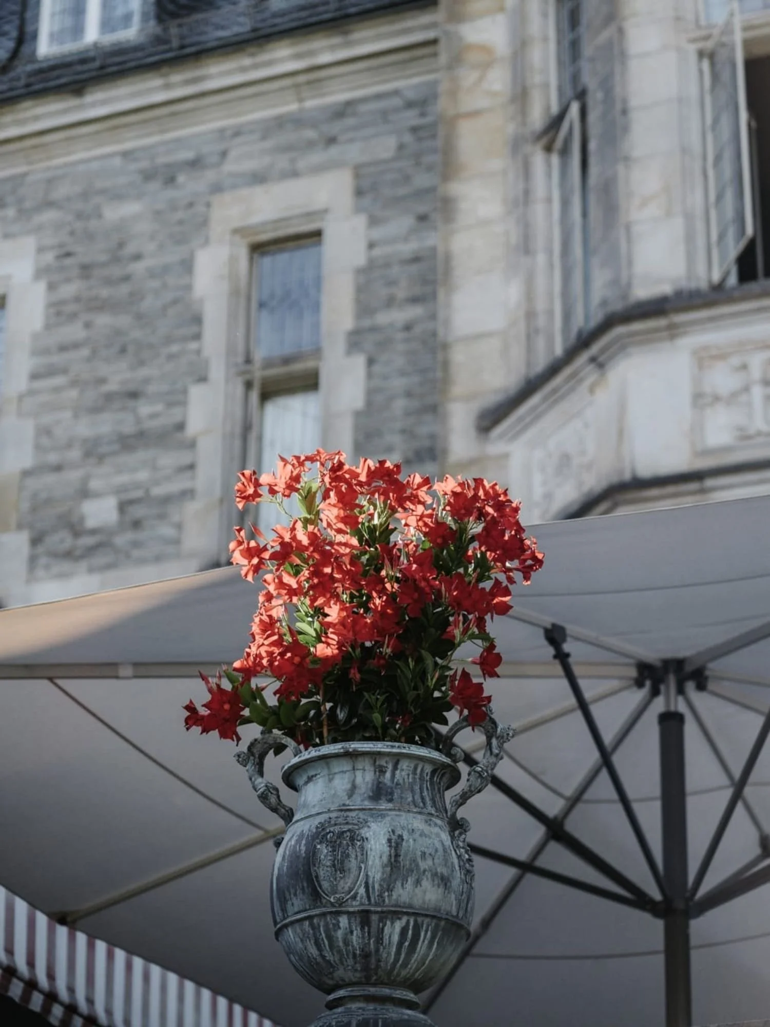 Blumendekoration auf Schlossterrasse