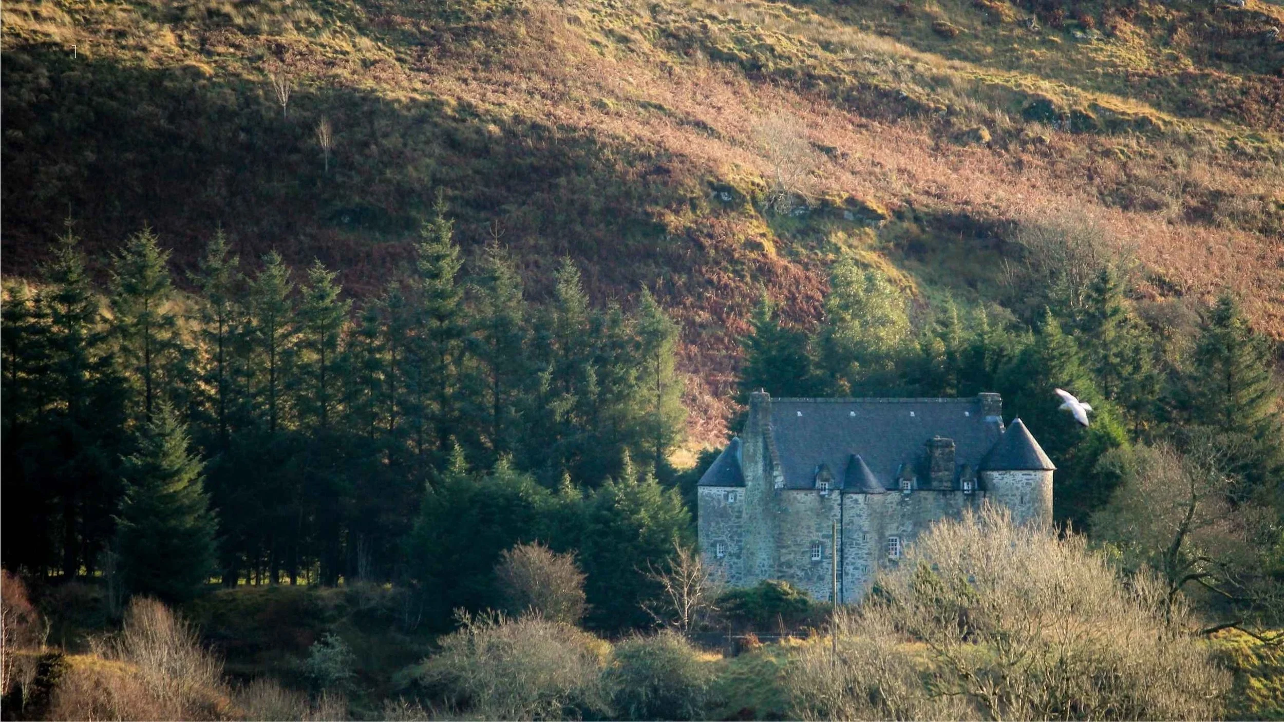 Kilmartin Castle in Weitansicht inmitten der schottischen Highlands, grüne Landschaft und Natur
