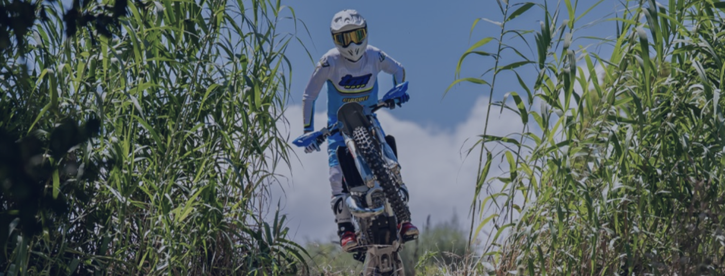A person riding a dirt bike through tall green grass or crops under a blue sky.