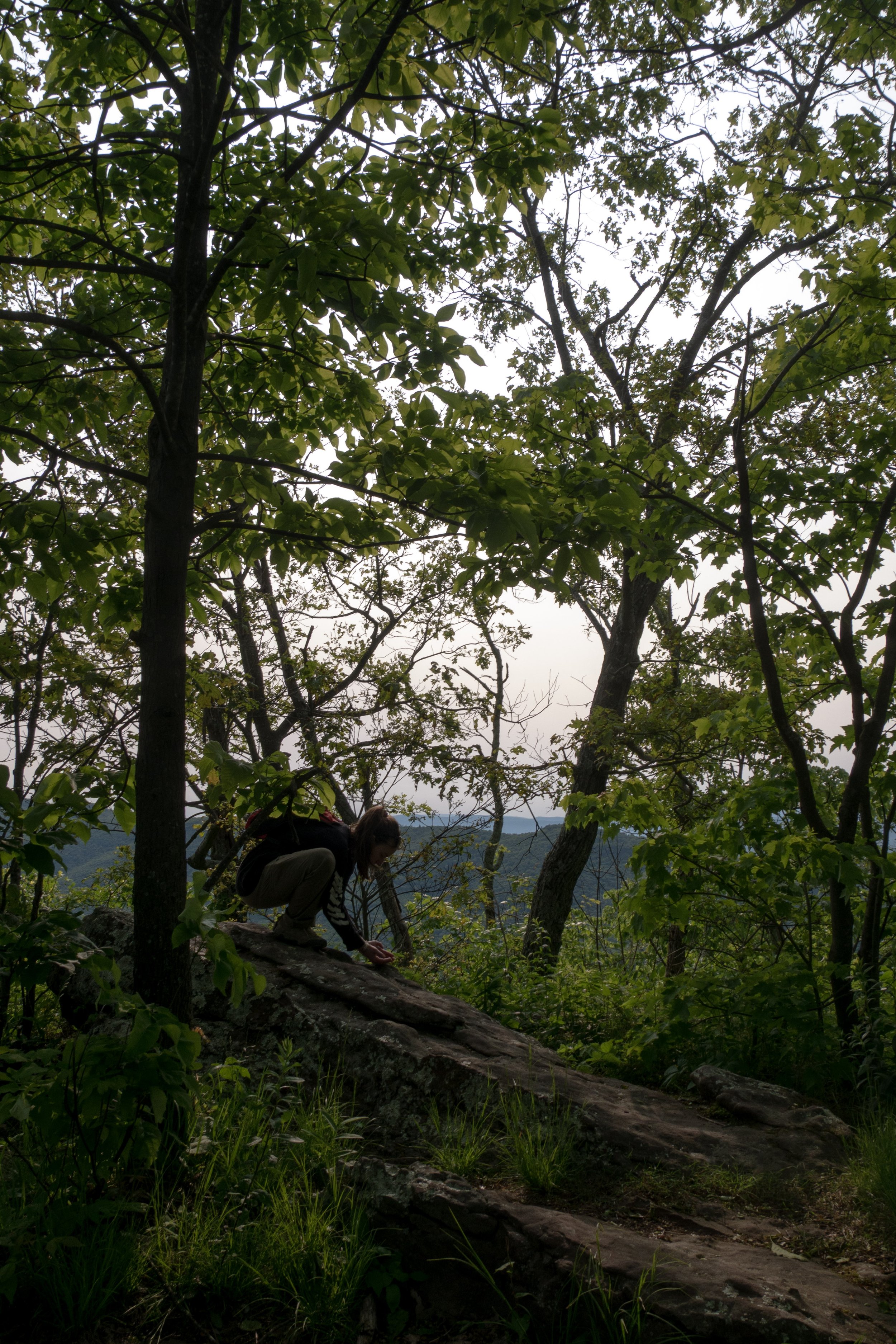 A person crouching on a large rock in a wooded area surrounded by trees and green foliage.