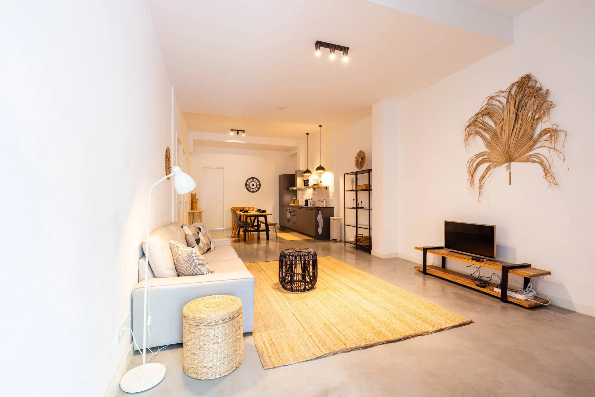 Licht ingericht woonkamer met witte muur, beige bank, een vloerkleed, zwarte en houten meubels, een tv op een houten tv-meubel, en decoratieve planten en objecten.