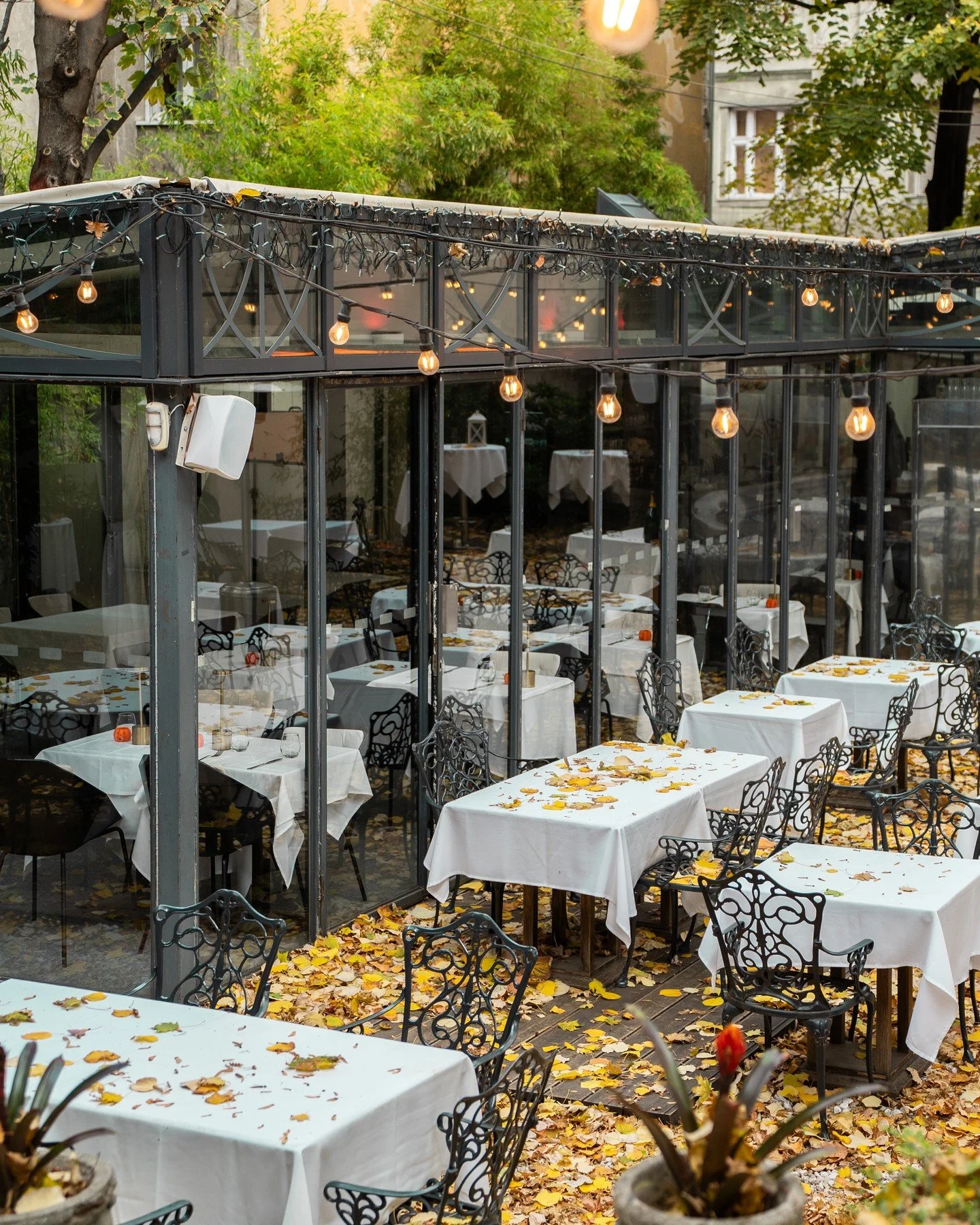 Őszi sz&iacute;nekbe borult kert, fondue est&eacute;k, kiv&aacute;l&oacute; borok - &iacute;gy fest az ősz a Pavillon de Paris-ban. ✨🍂🫕

#pavillondeparis #pavillondeparisbudapest #fondue #fall #restaurant #frenchrestaurant