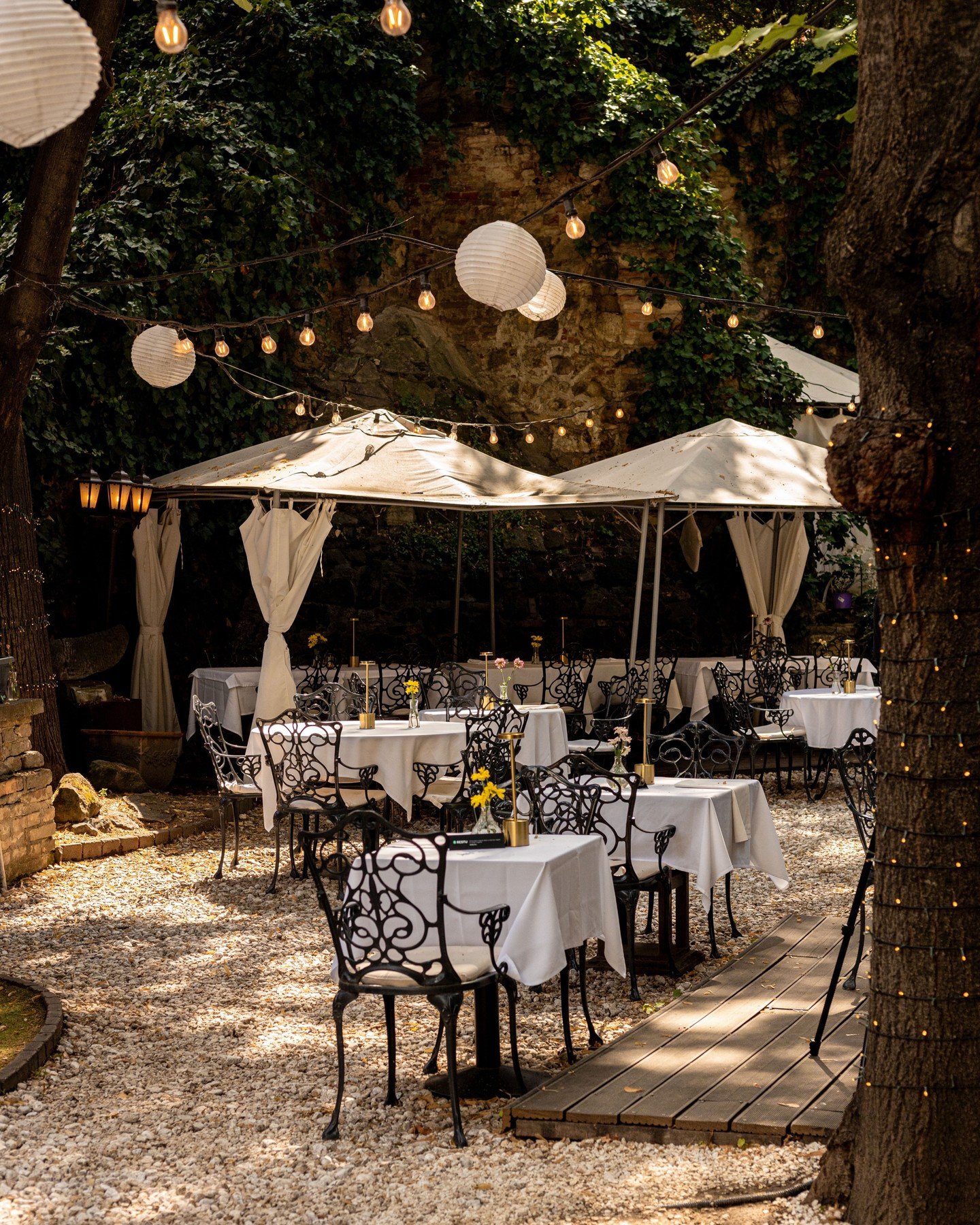 C'est le printemps! 🥰
V&aacute;ltoznak a f&eacute;nyek, z&ouml;ld&uuml;lnek a f&aacute;k, csicseregnek a madarak &eacute;s s&uuml;t a nap! Mindez egyet jelent a kertben &uuml;cs&ouml;rg&eacute;ssel, a lass&uacute; eb&eacute;dekkel &eacute;s a d&eacu