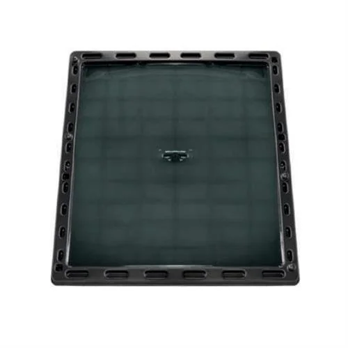 JUMBO RAT - Tavole Collanti per Topi e Ratti Non Tossiche