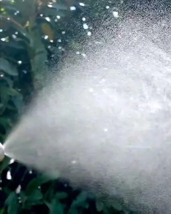 nebulizzazione-ugello-antiinsetti-volanti-mosche-tafani.jpg (Copia)