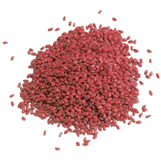 Esca in Grano Bromobleu - 10 kg Esca Rodenticida Bromadiolone Aromatizzata al Cioccolato