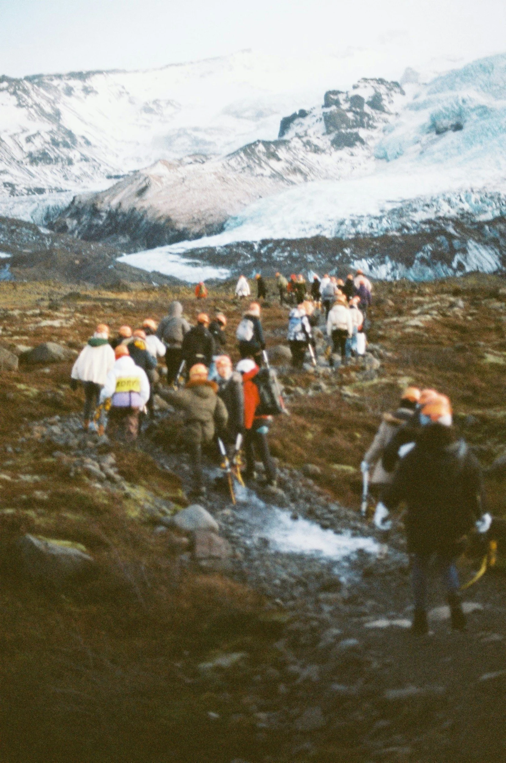 Buchen WANG @bclefou