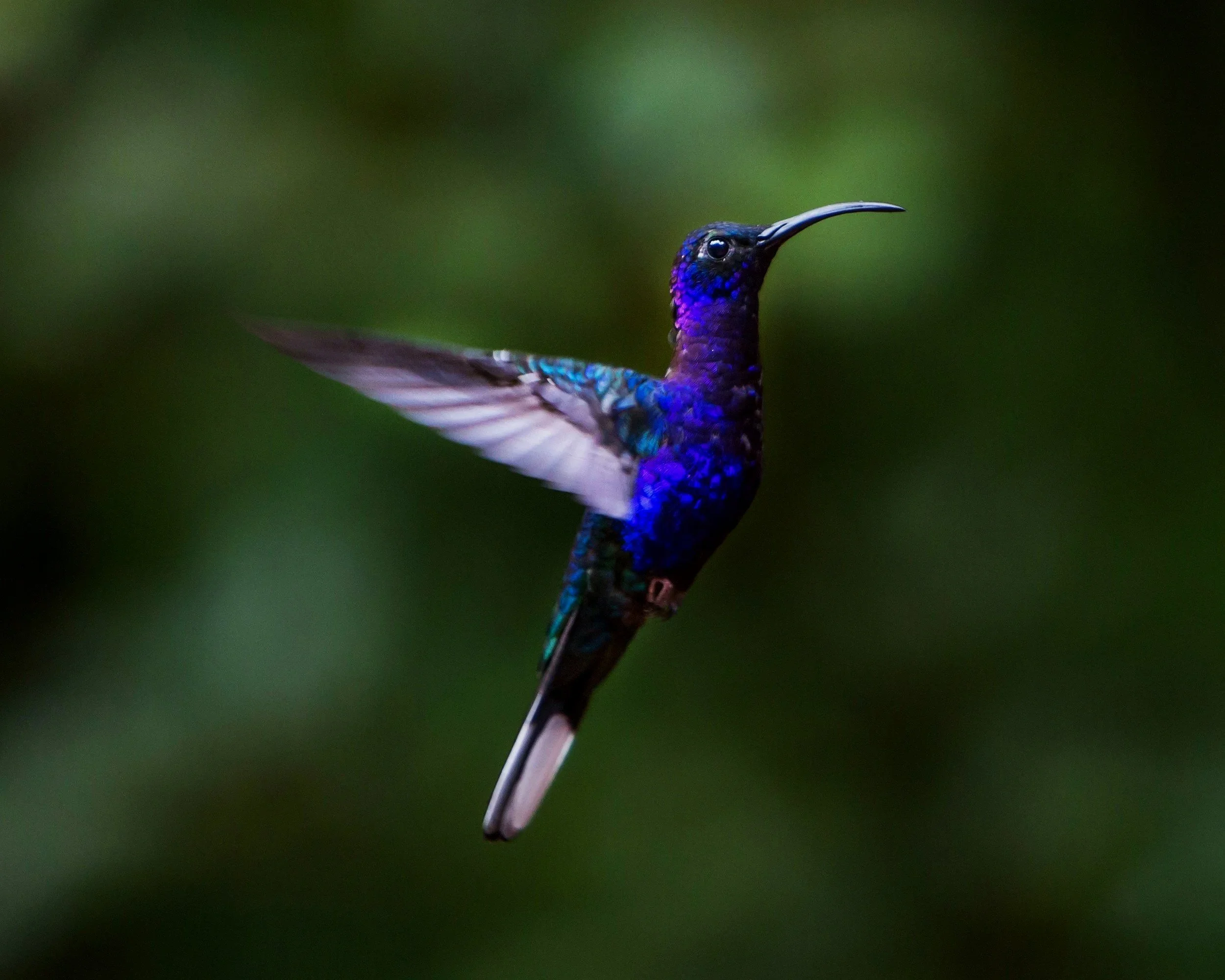 James Ting @jamesting