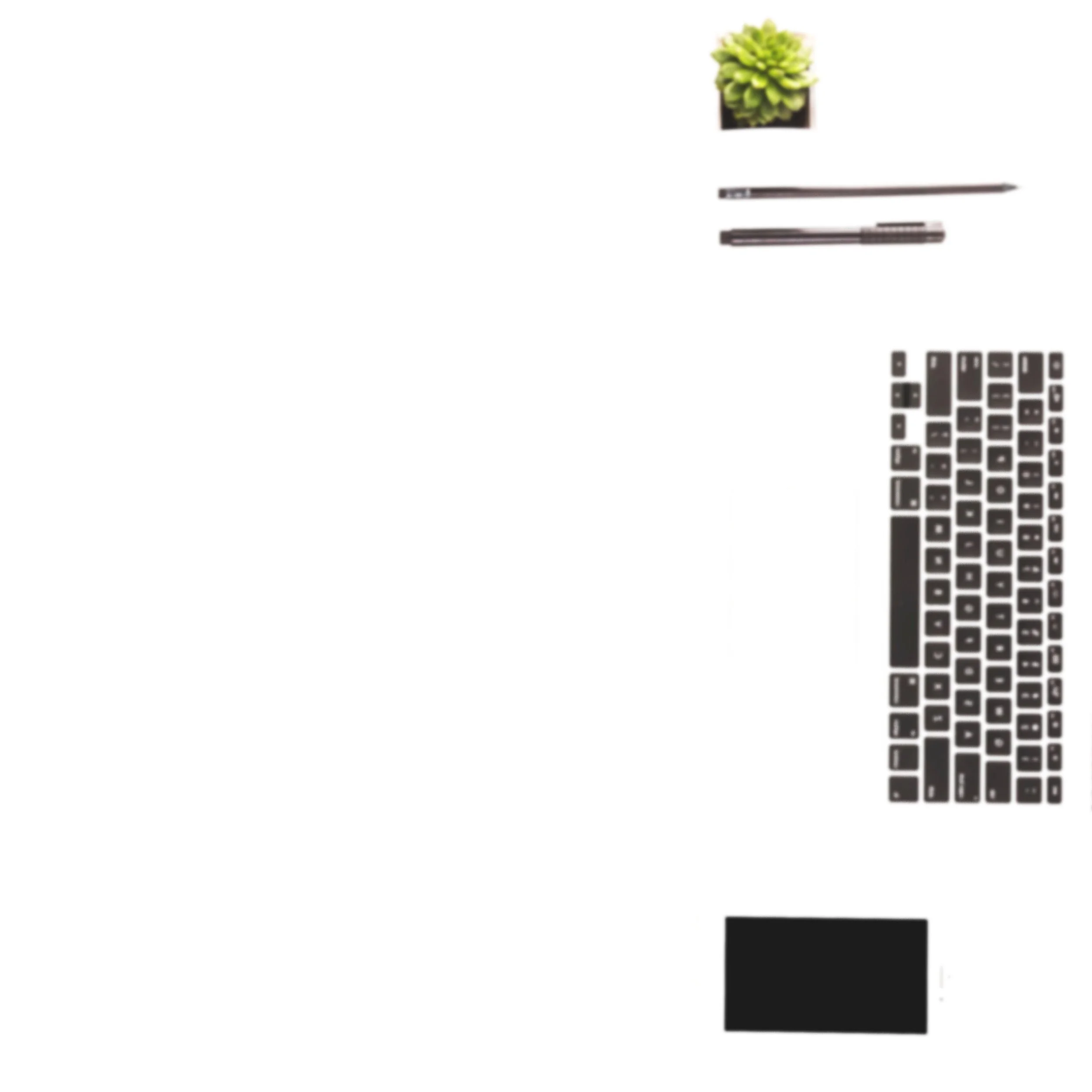 Une plante succulente dans un pot, suivie de deux stylos, un clavier d'ordinateur, et une tablette ou un smartphone noir