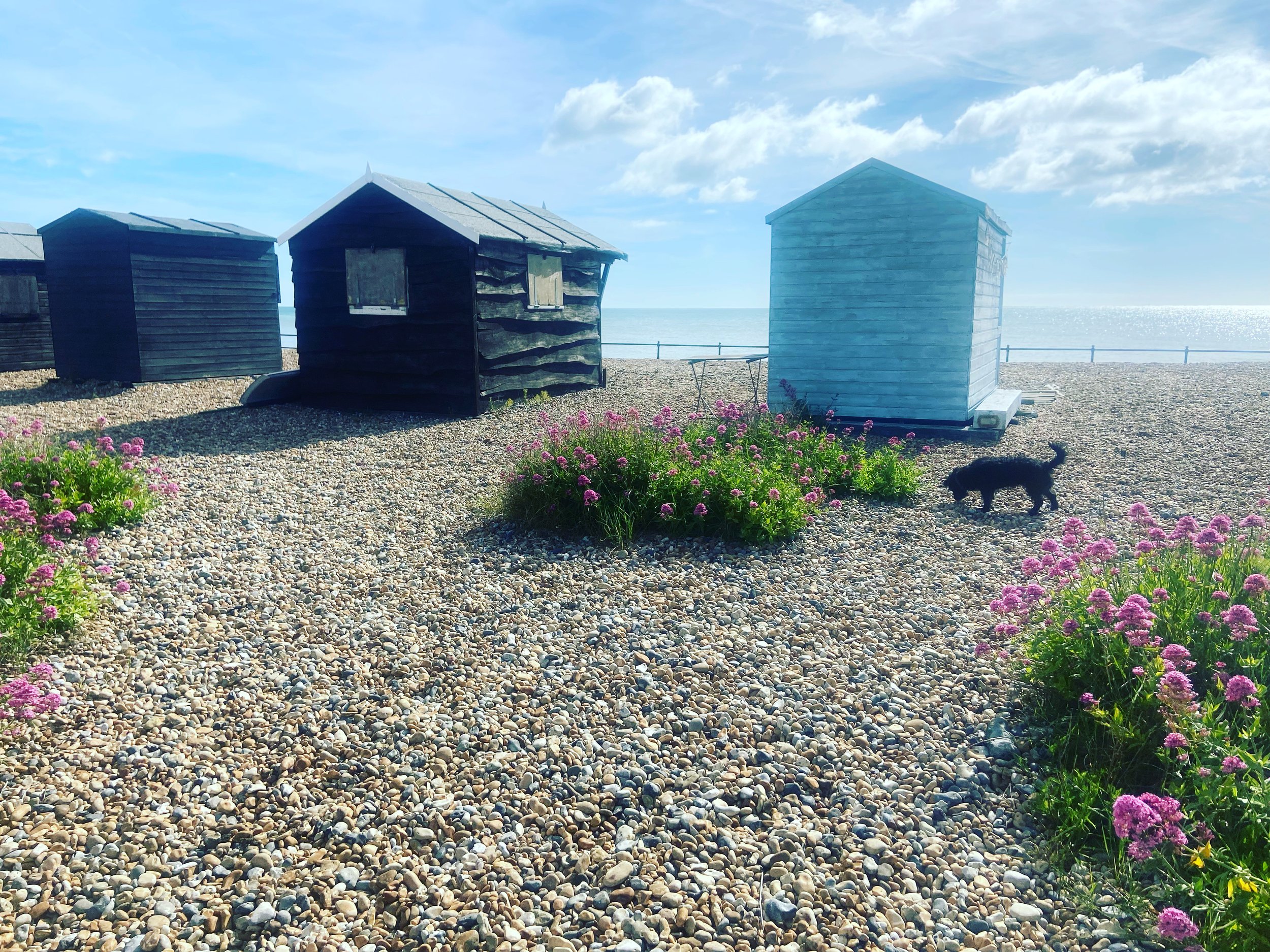 Beach with pebbles, colorful flowers, black dog, and four beach huts in the background, overlooking the ocean under a partly cloudy sky.