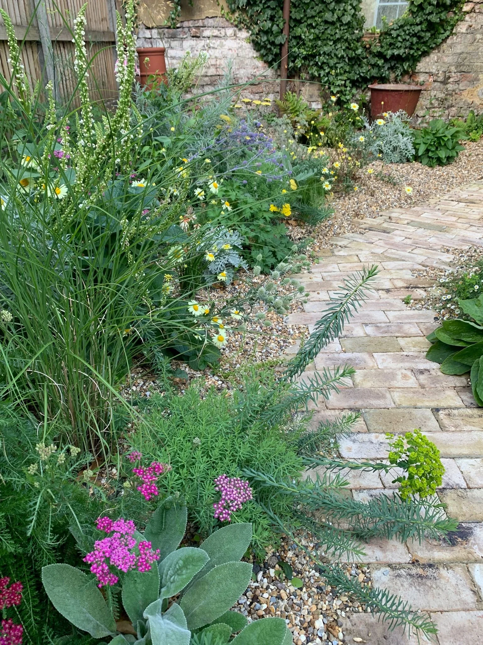 PHOTO-2023-07-17-12-47-26 2.jpg