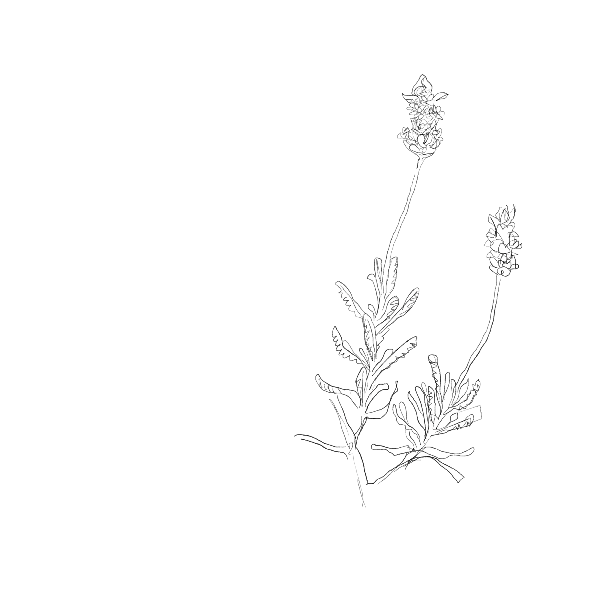 nursery entrance planters