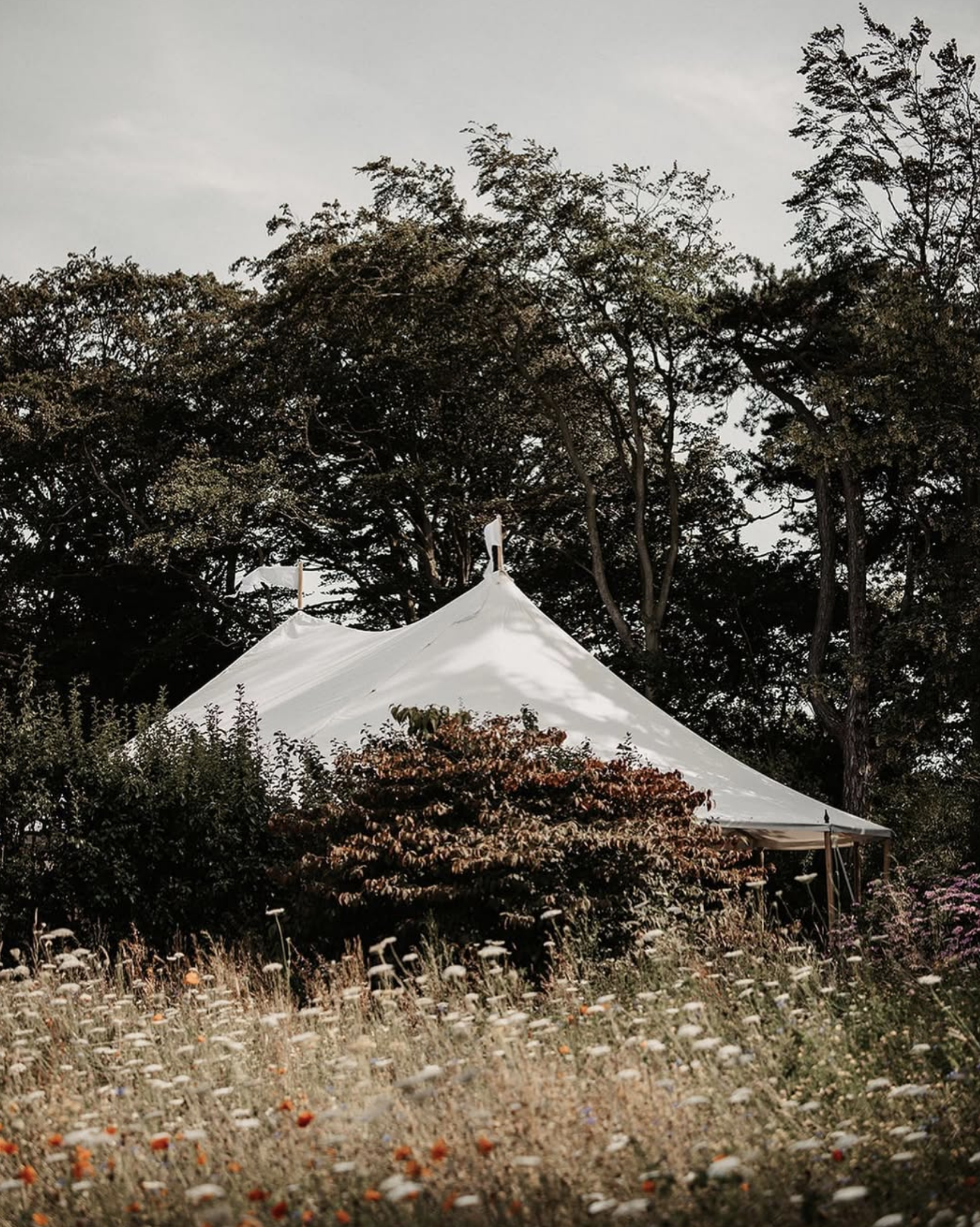 Screenshot 2025-11-17 at 15.34.35.png