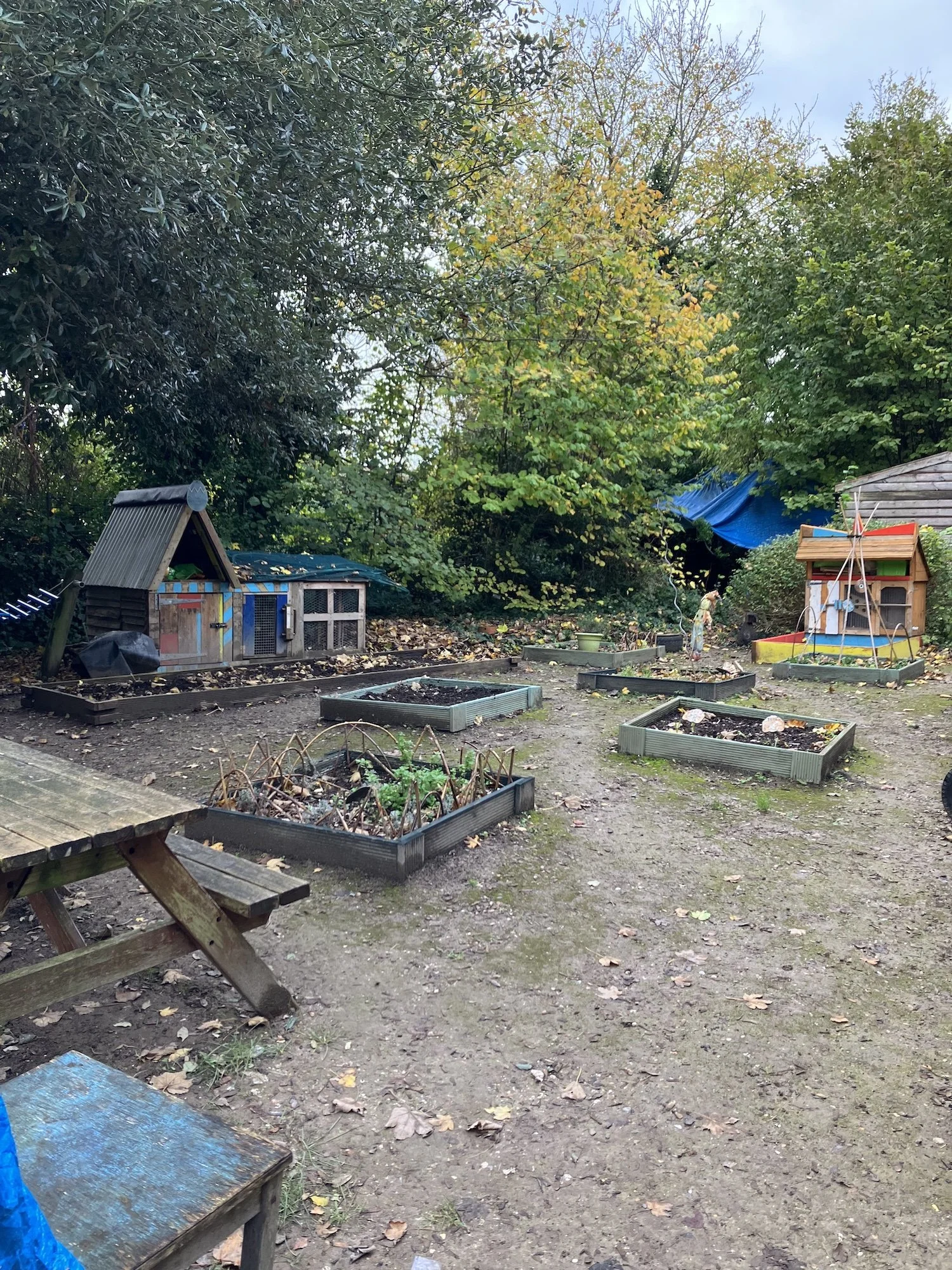 K_school_allotment.jpg